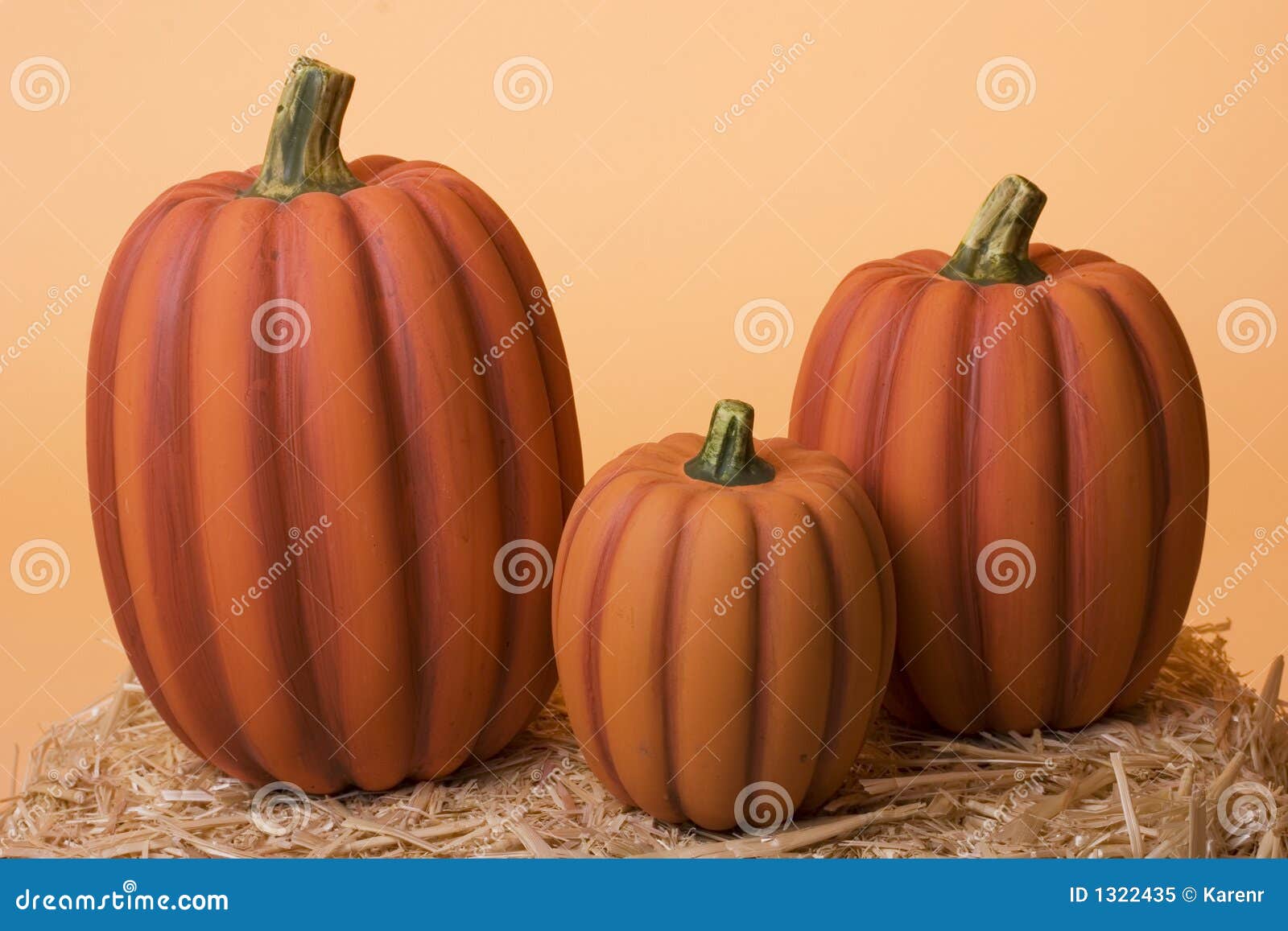 Pumpkins stock image. Image of straw, traditional, pumpkins - 1322435