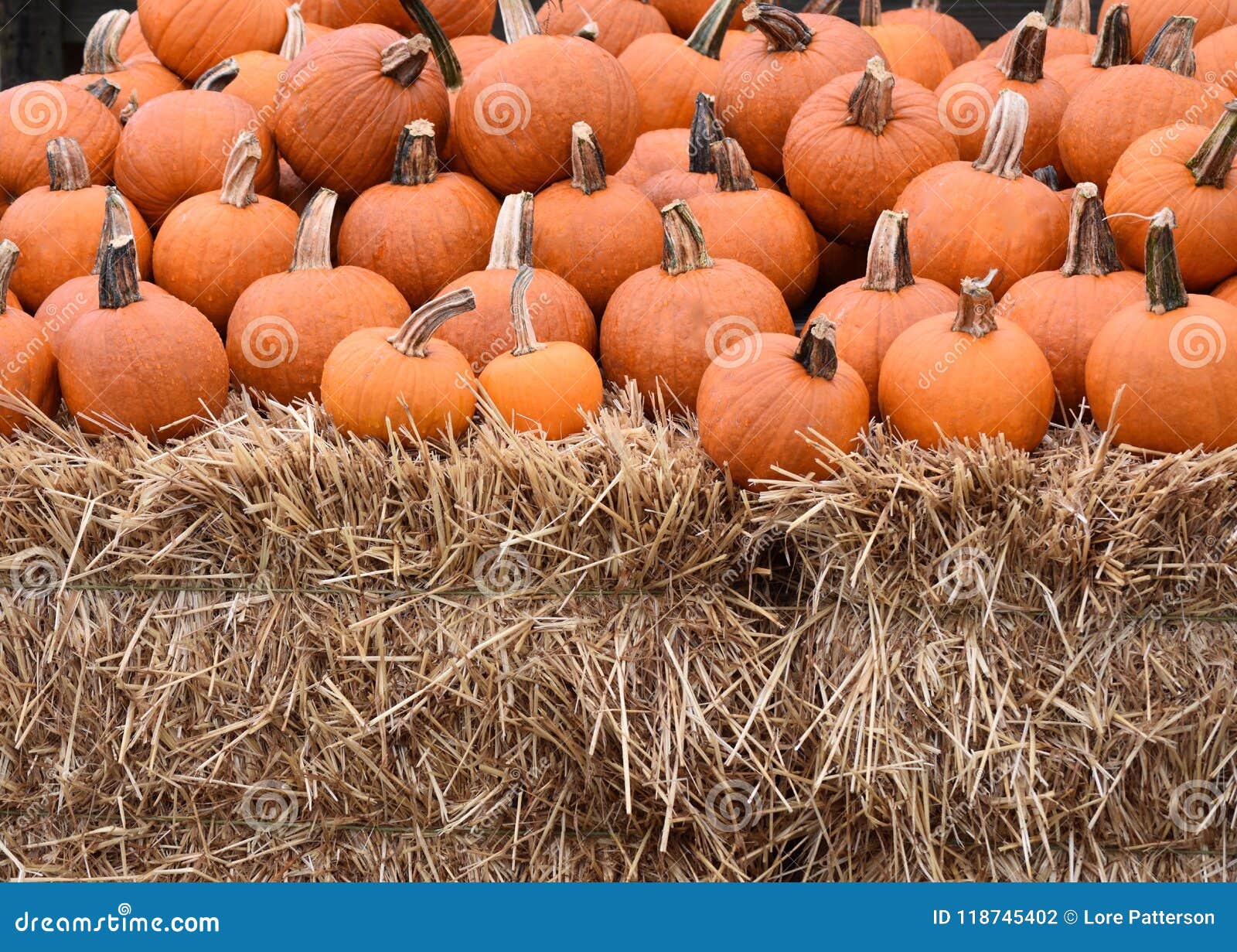 Pumpkins on a bale of hay stock photo. Image of small 118745402