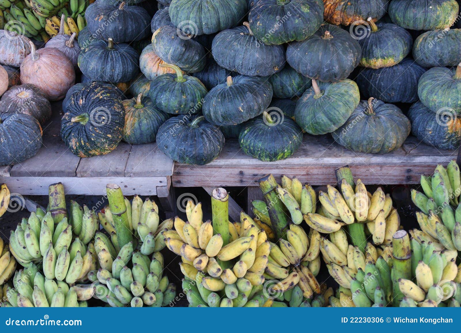 Pumpkins and bananas stock photo. Image of circle, pumpkin 22230306