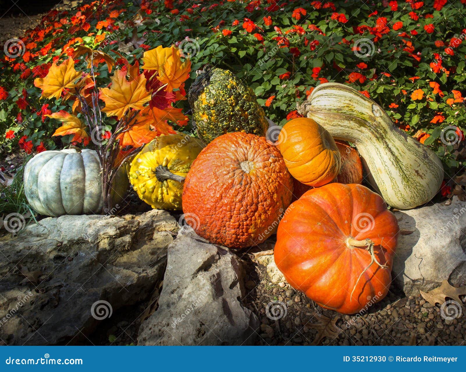 Image Result For Orange Pumpkins Halloween Autumn Wallpapers