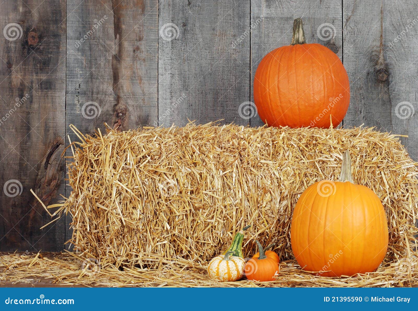 Pumpkins and Gourds on Straw Stock Photo - Image of board, fall: 21395590