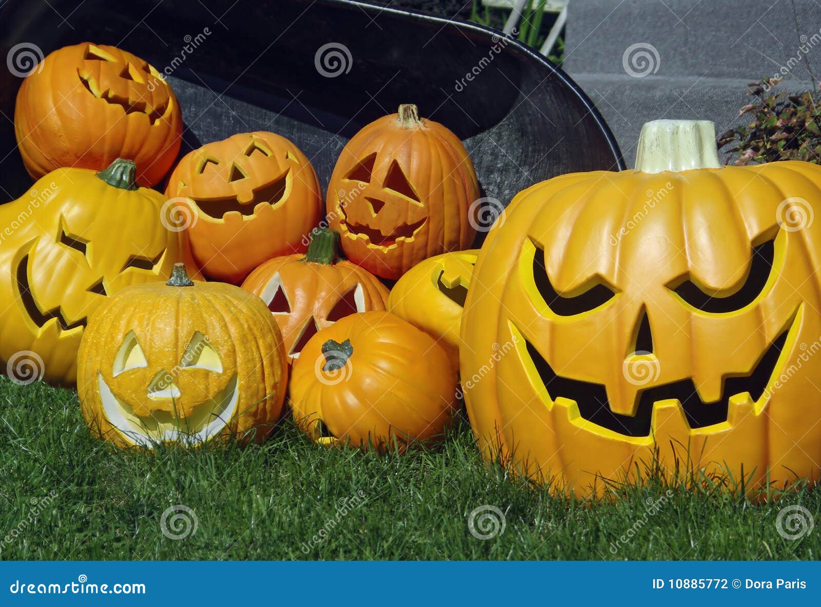 Pumpkins and Jackolanterns Stock Photo Image of halloween, lanterns 10885772