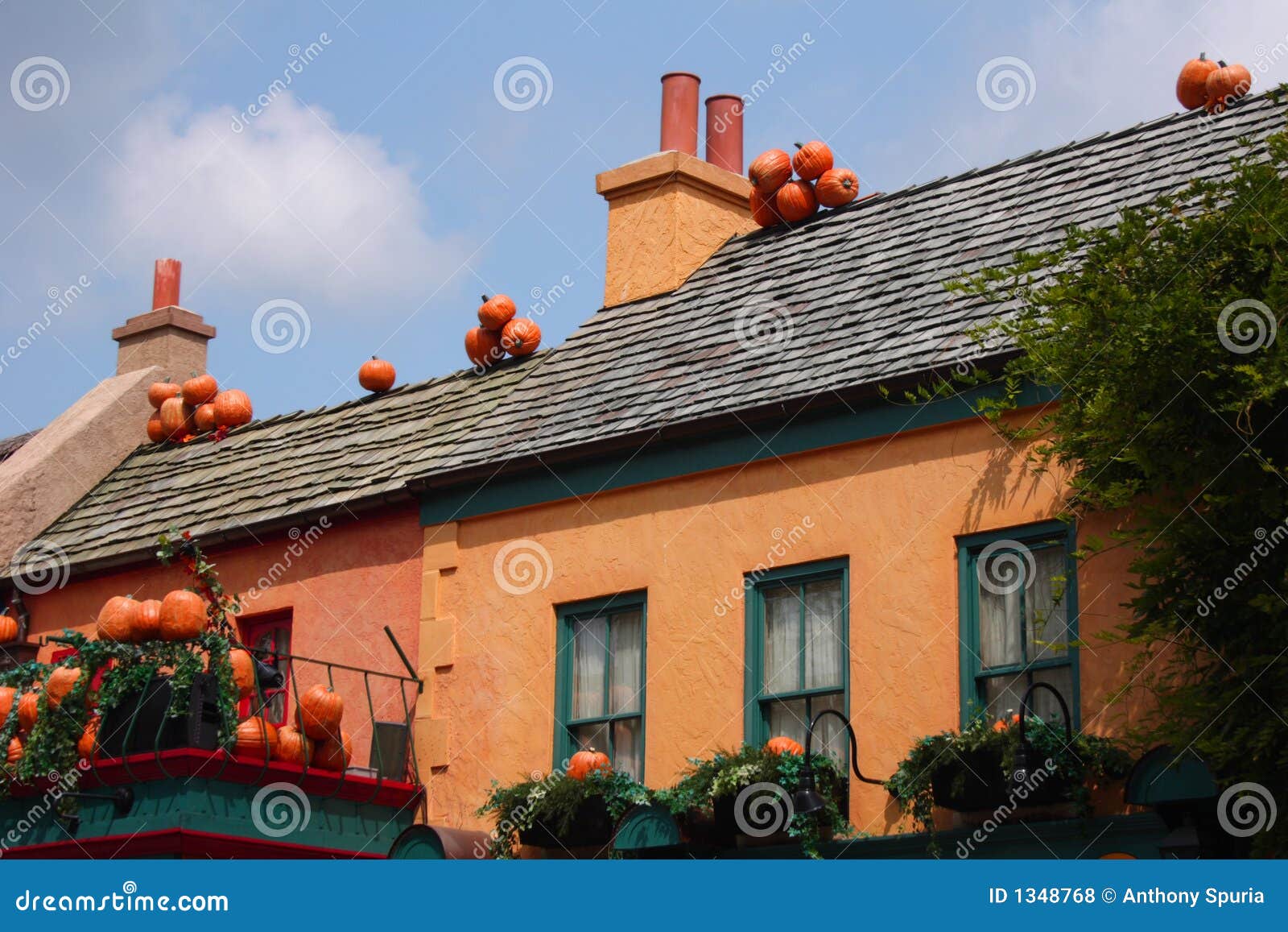 Pumpkins On Rooftops Royalty Free Stock Photos Image 1348768