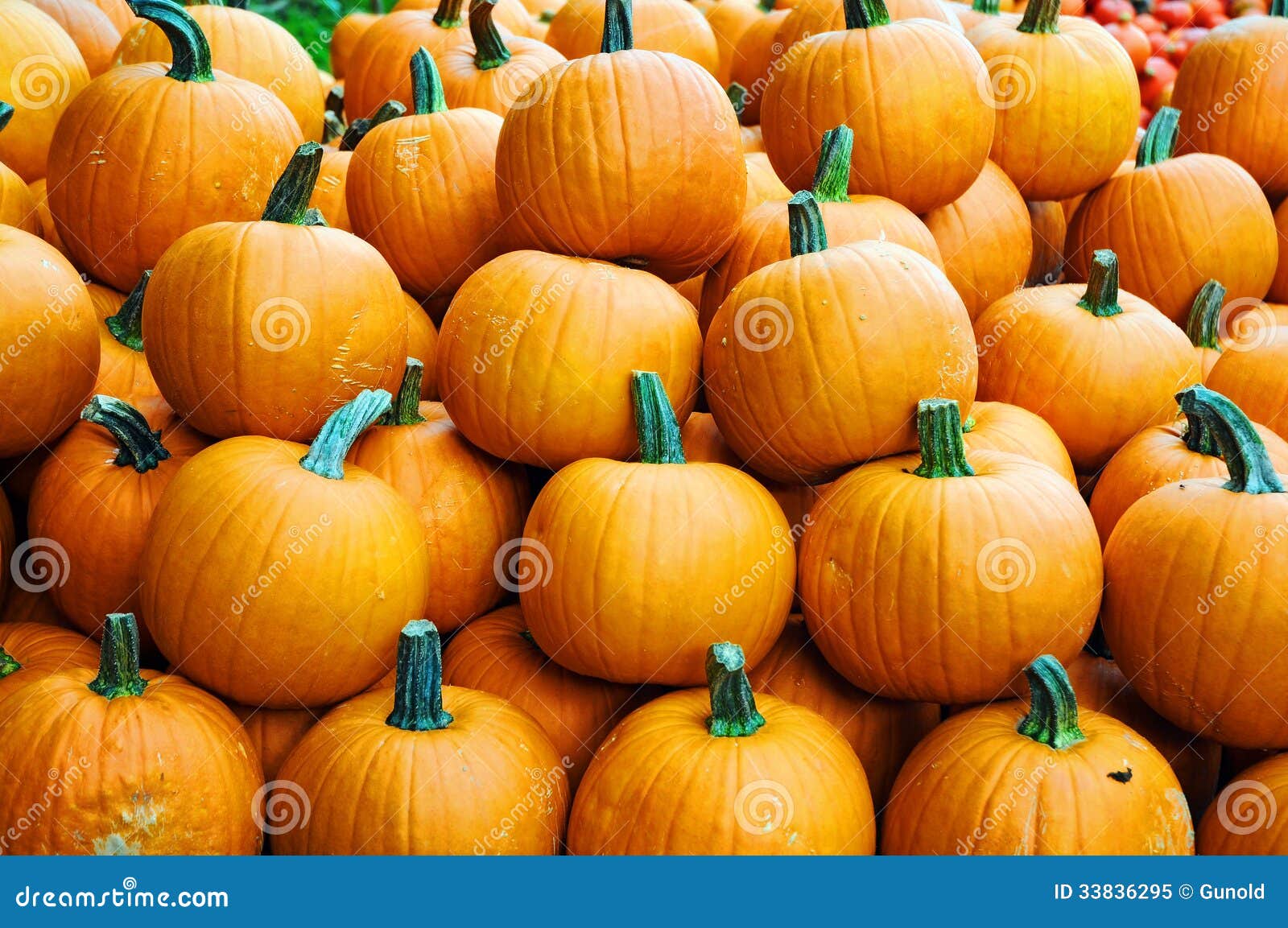 pumpkins