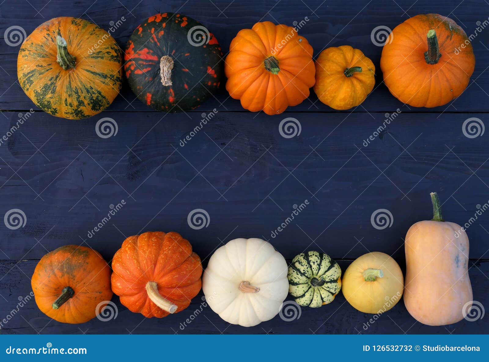 Pumpkins and Squashes Varieties Border Stock Photo Image of blue