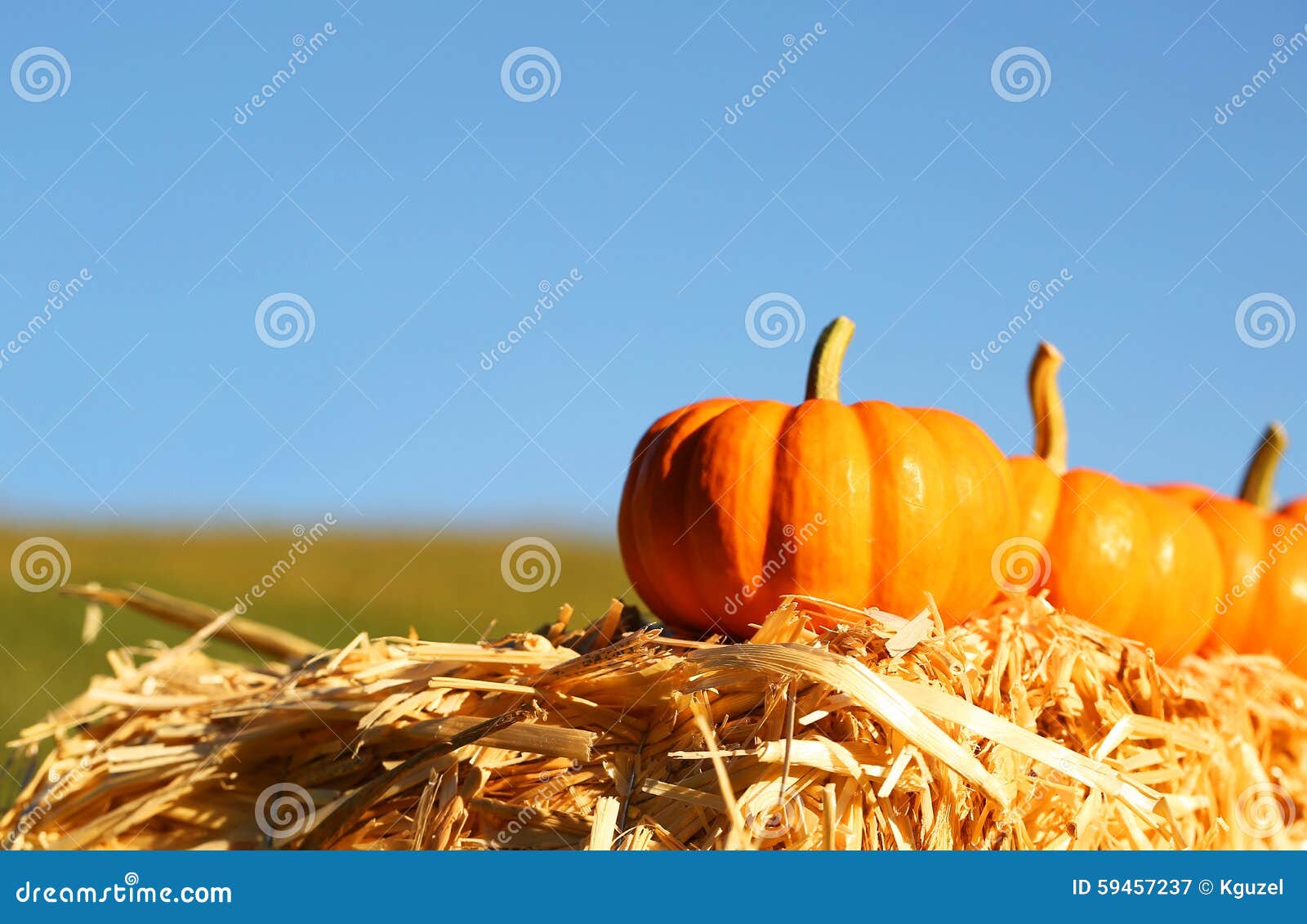 840 Pumpkins Straw Bale Stock Photos Free & RoyaltyFree Stock Photos