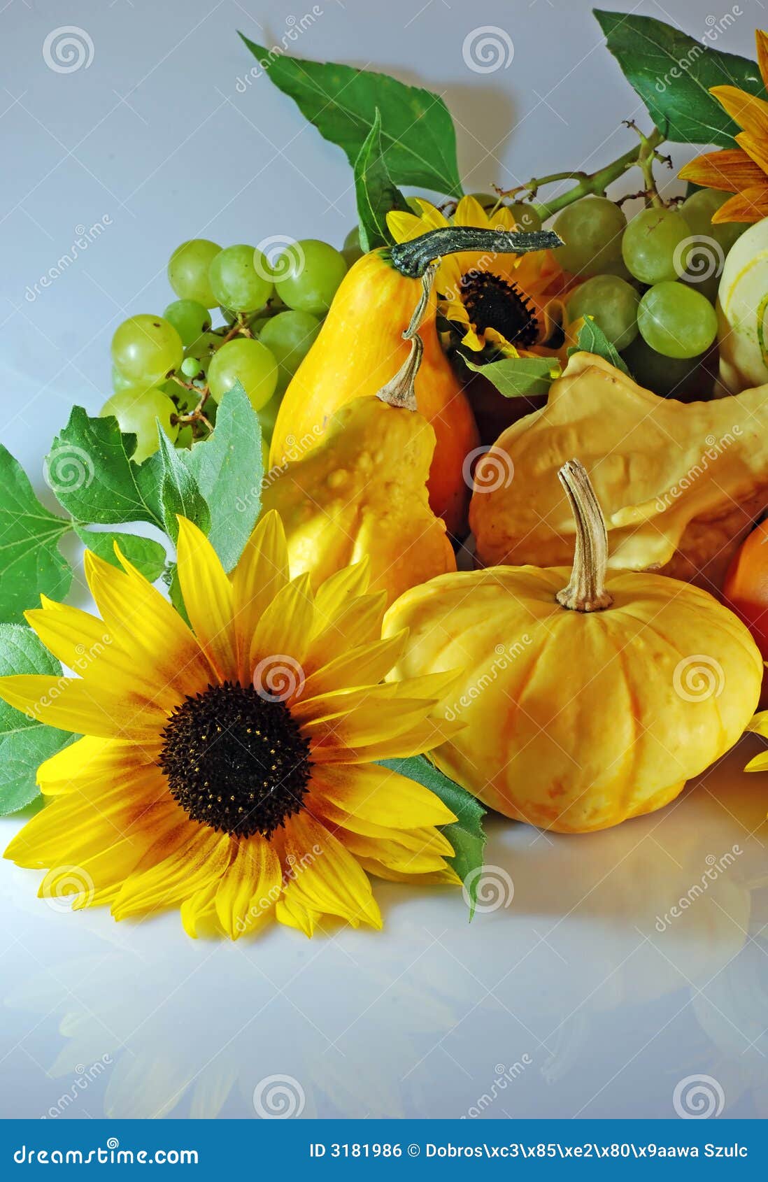 Pumpkins with sunflowers stock photo. Image of reflex 3181986