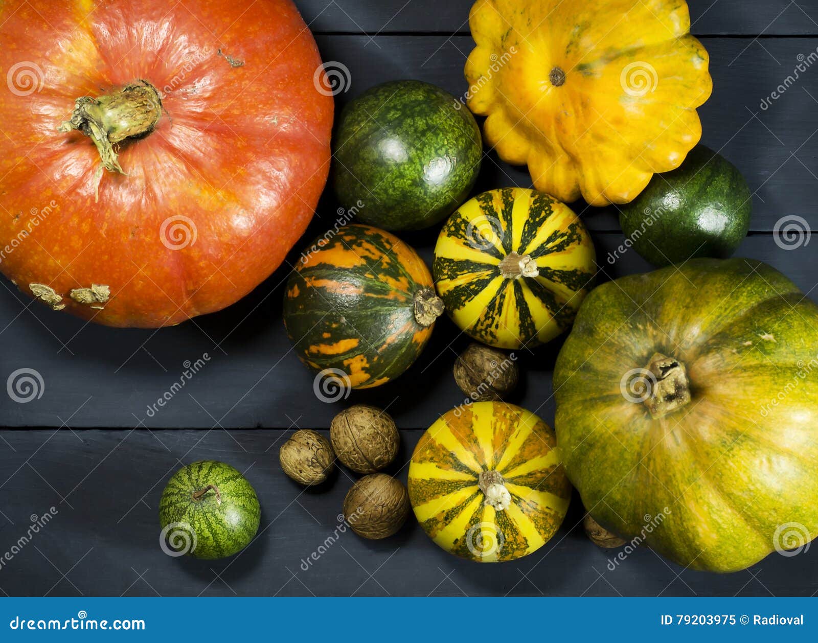 Pumpkins, Watermelon, Nuts, and Squash. Stock Image Image of healthy