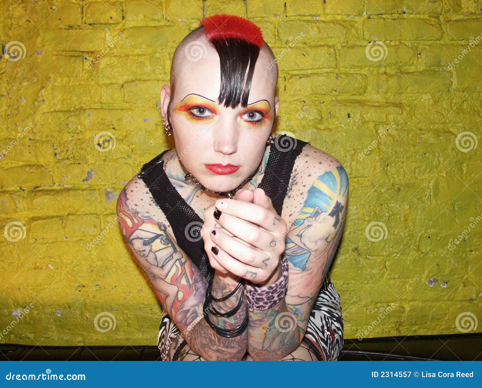  Punk Rock  Woman  stock image Image of fashion anglo 