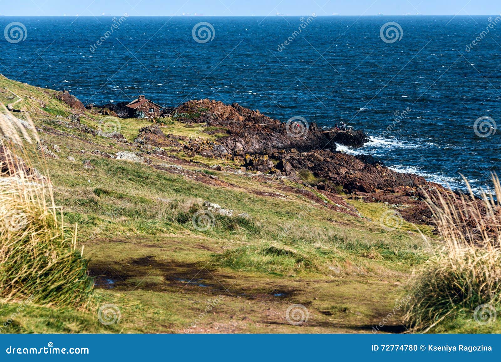 punta ballena seaside in punta del este, uruguay