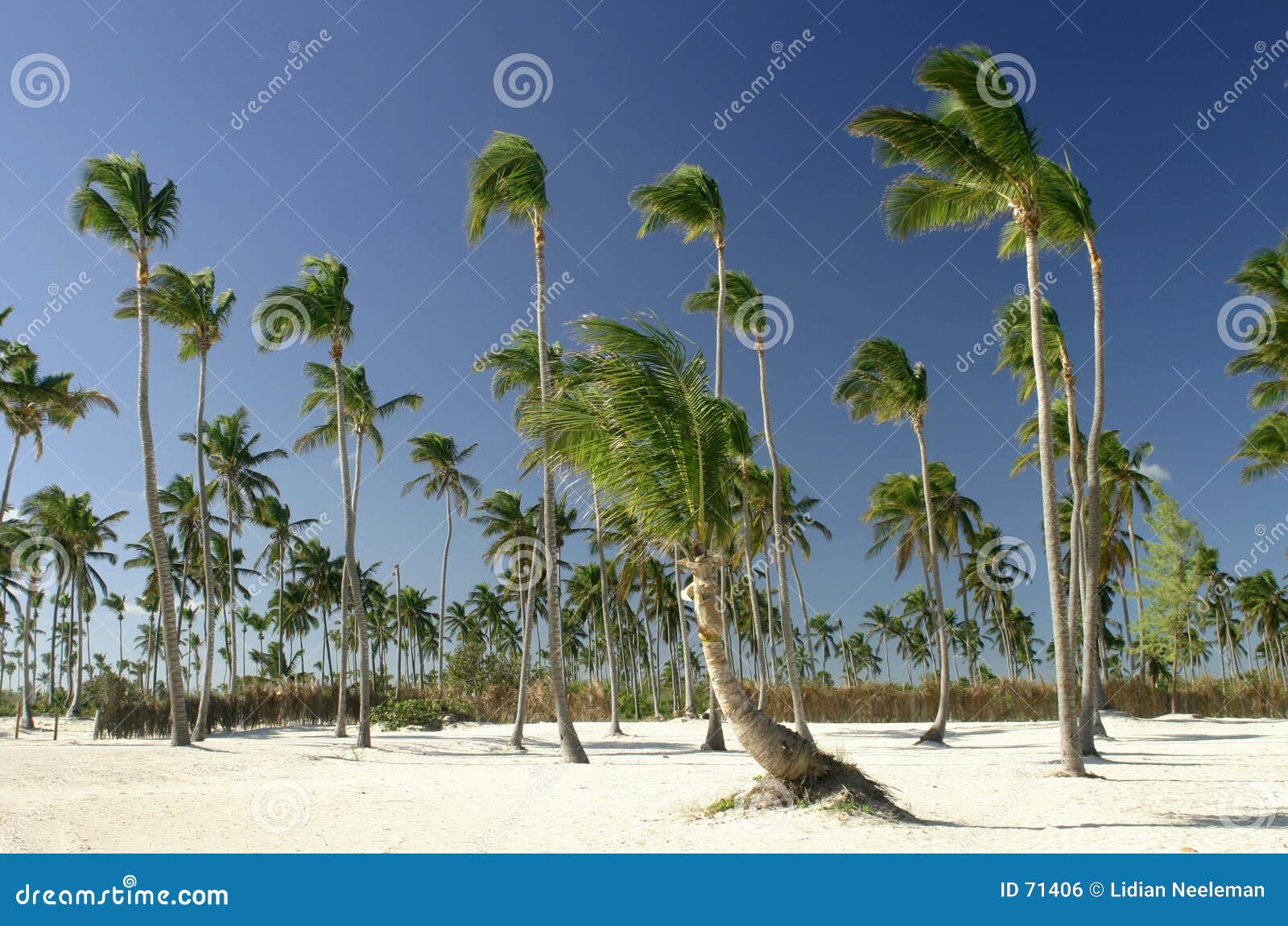 punta cana