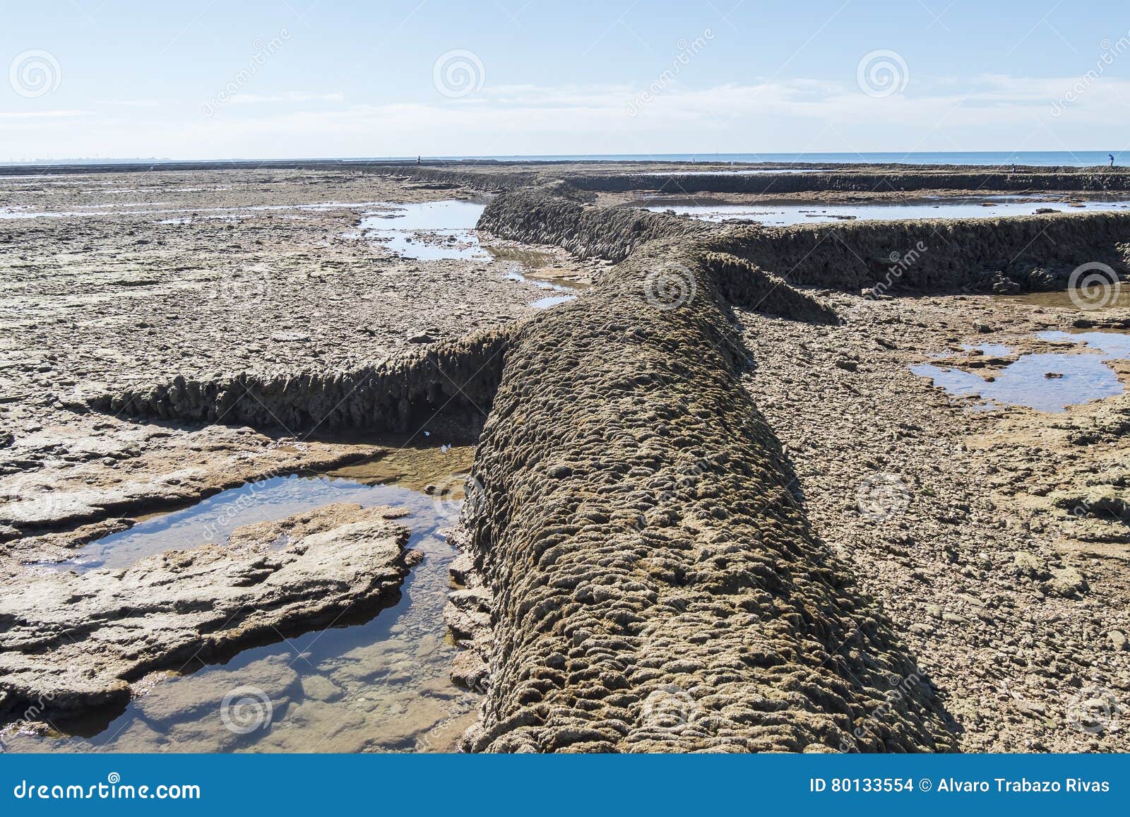 punta candor beach, rota, cadiz, spain. fishing weir, fish weir, fishgarth or kiddle