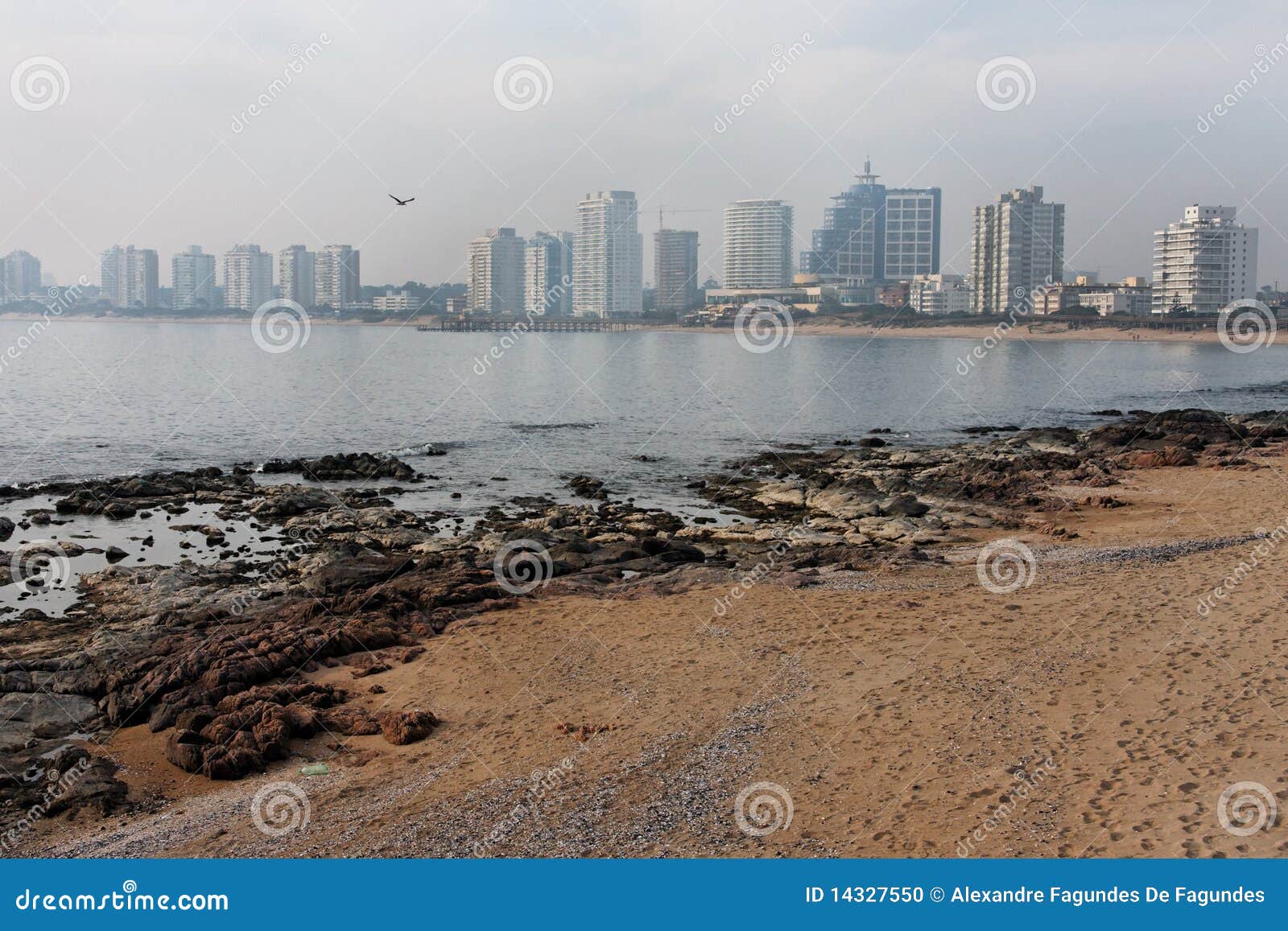 punta del este beach uruguay