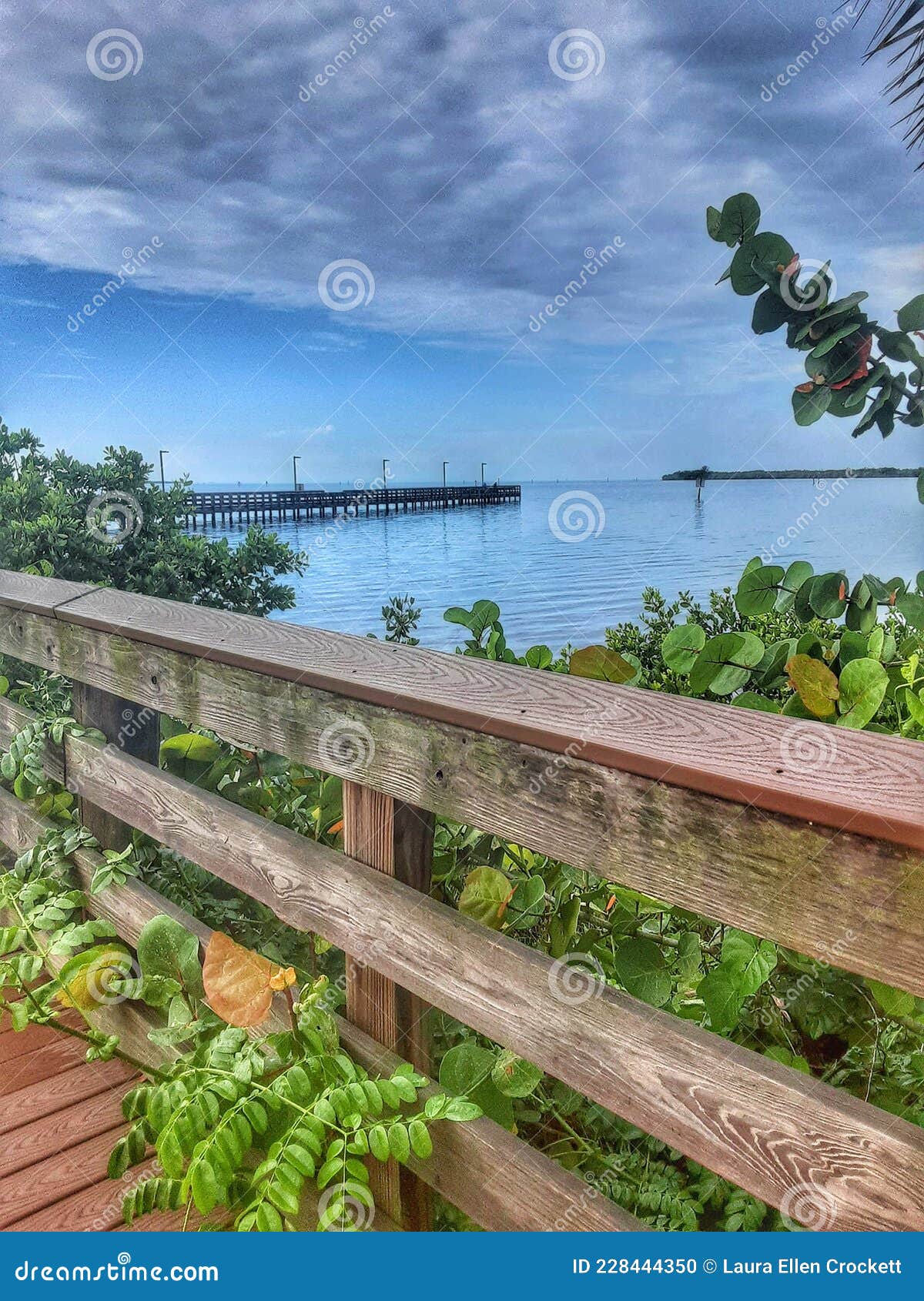 Punta Gorda , Florida 2021 stock photo. Image of pier 228444350