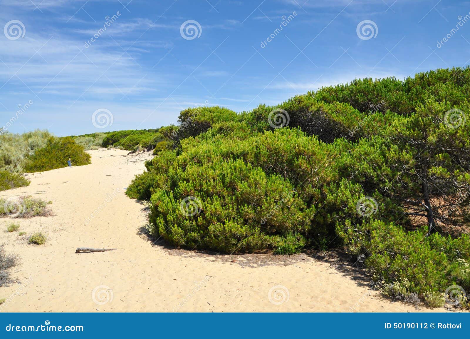 Punta Umbria Spain - duinen Cost DE La Luz