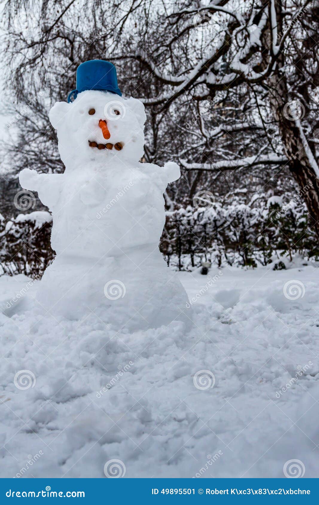 Pupazzo di neve con il naso blu della carota e del cappello