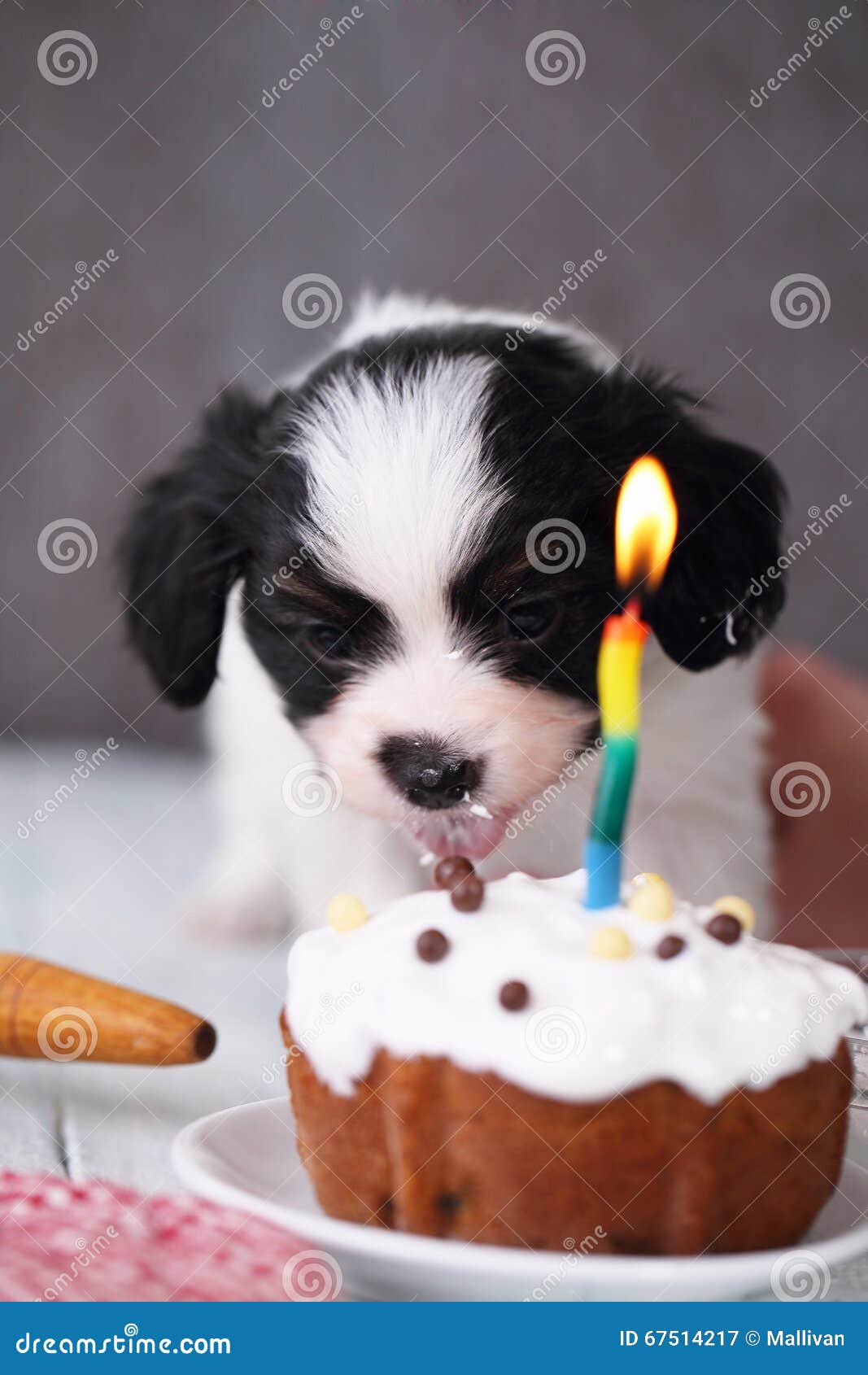 puppies cake