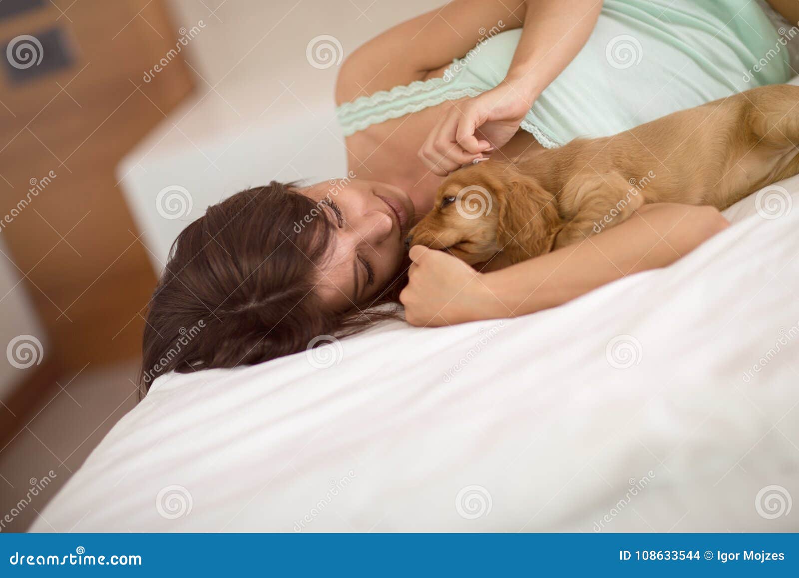 puppy cocker spaniel with female owner cuddle