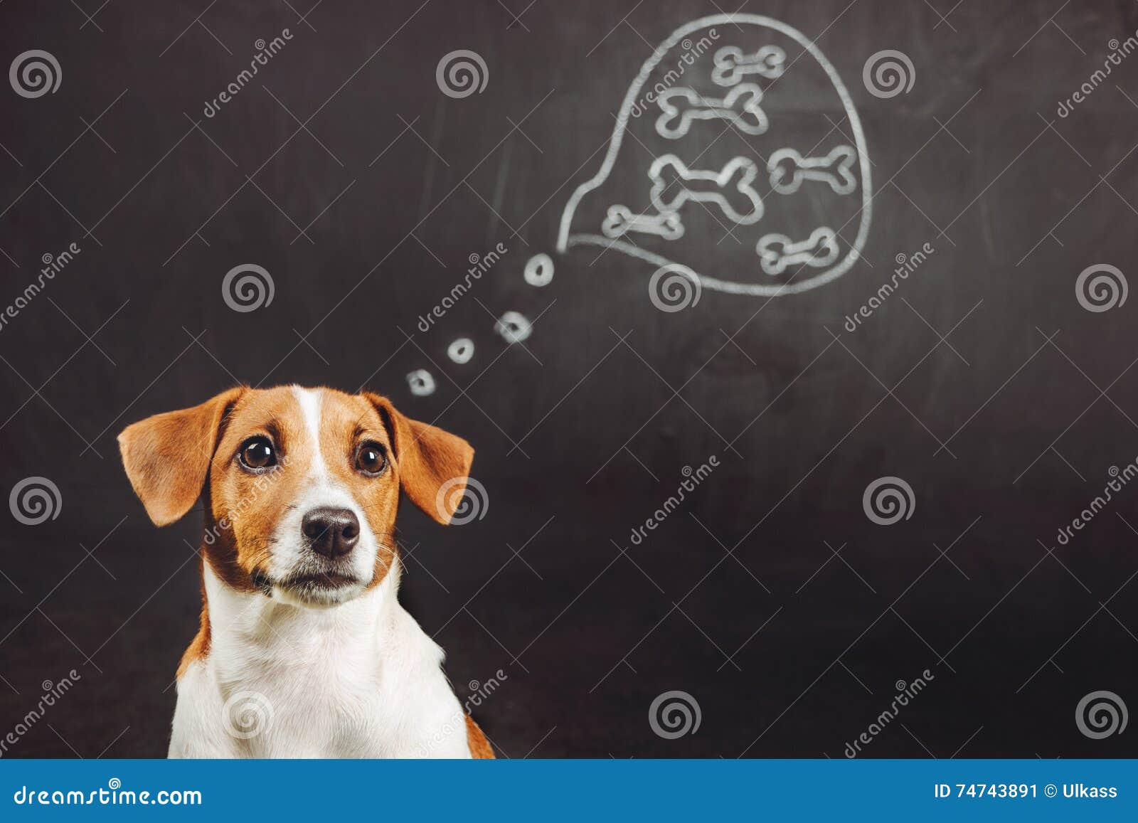 dreaming of dogs download dreaming of dogs download