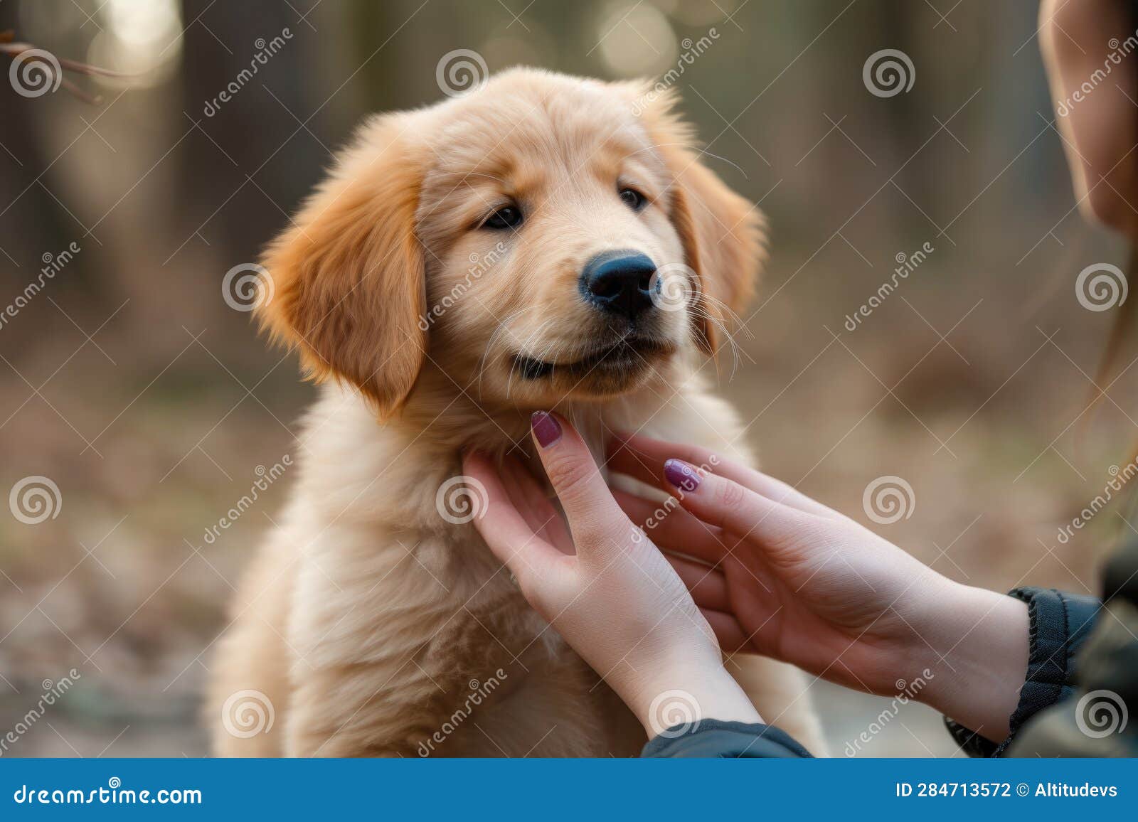 puppy nipping at owner's hand, playfully learning their boundaries