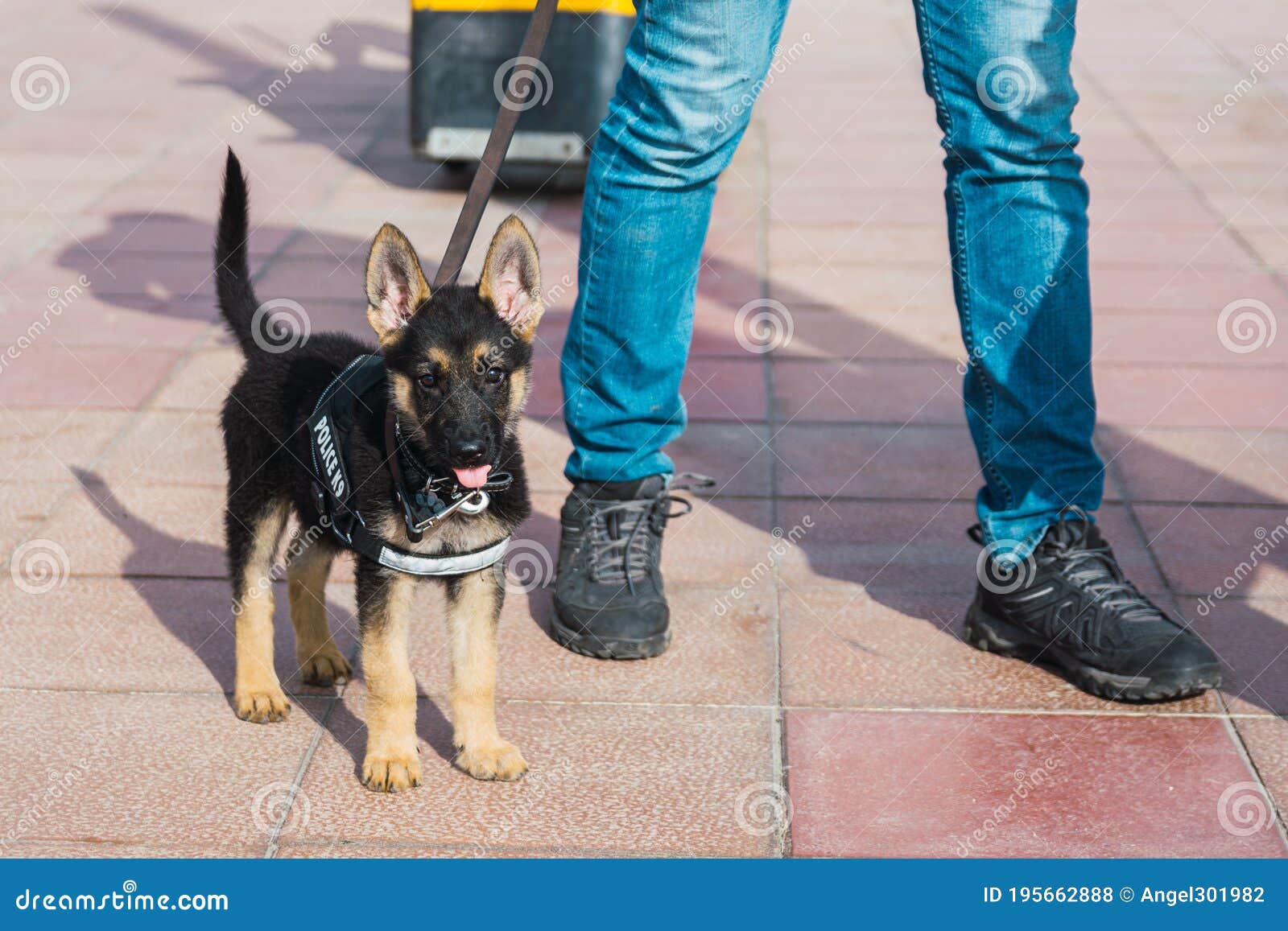 k9 web protection sign up k9 web protection sign up