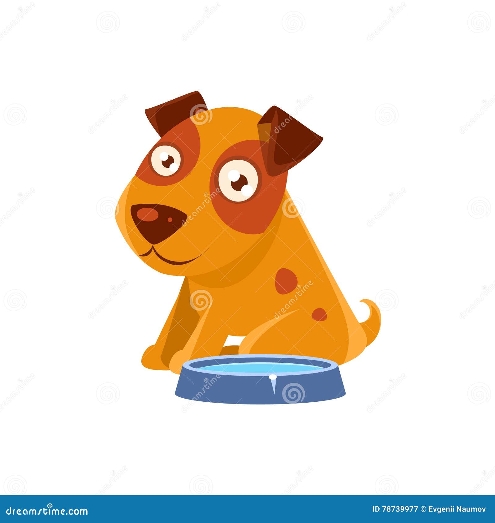 1,400+ Dog Water Bowl Stock Illustrations, Royalty-Free Vector Graphics &  Clip Art - iStock
