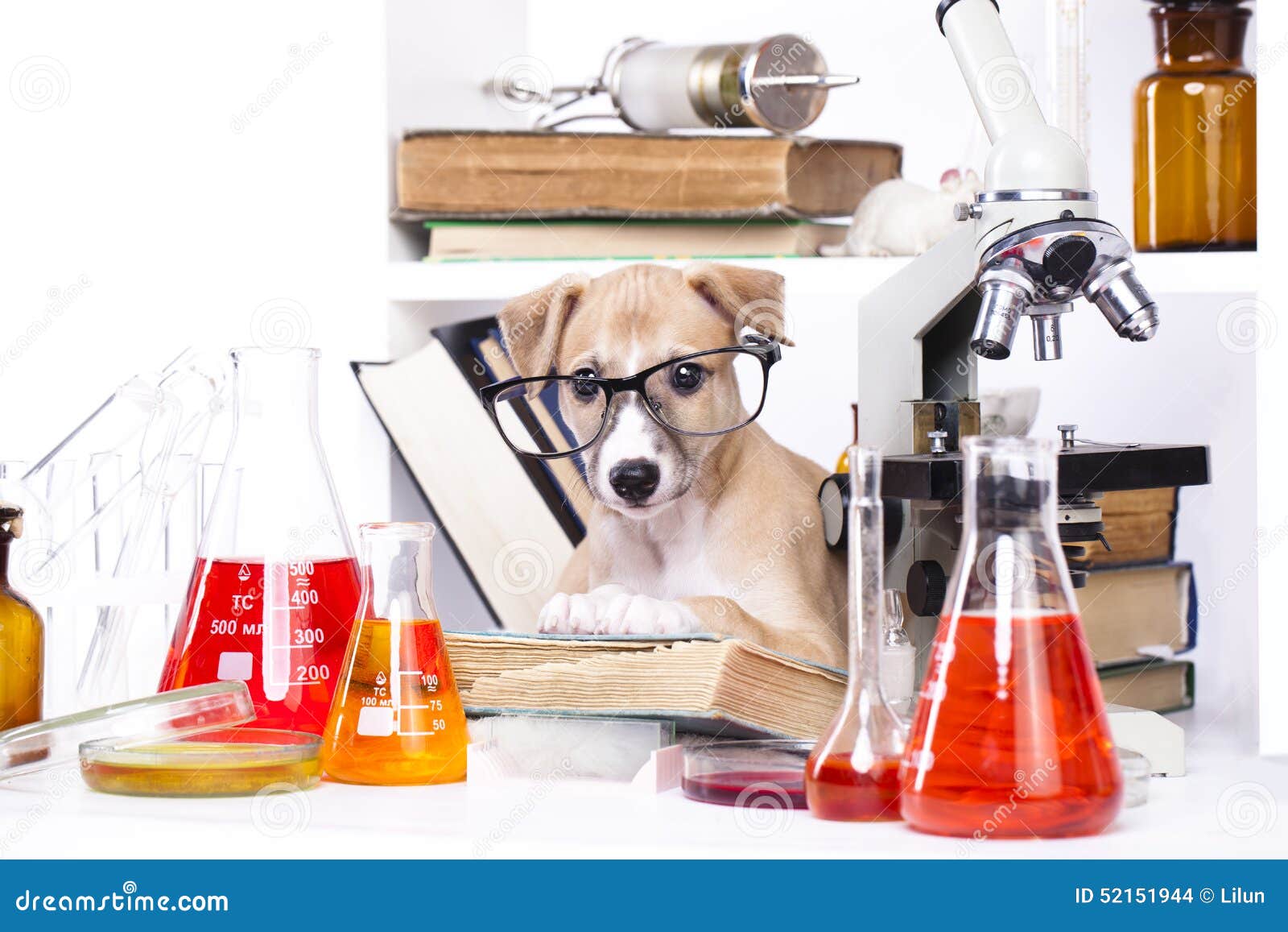 chemistry dog meme