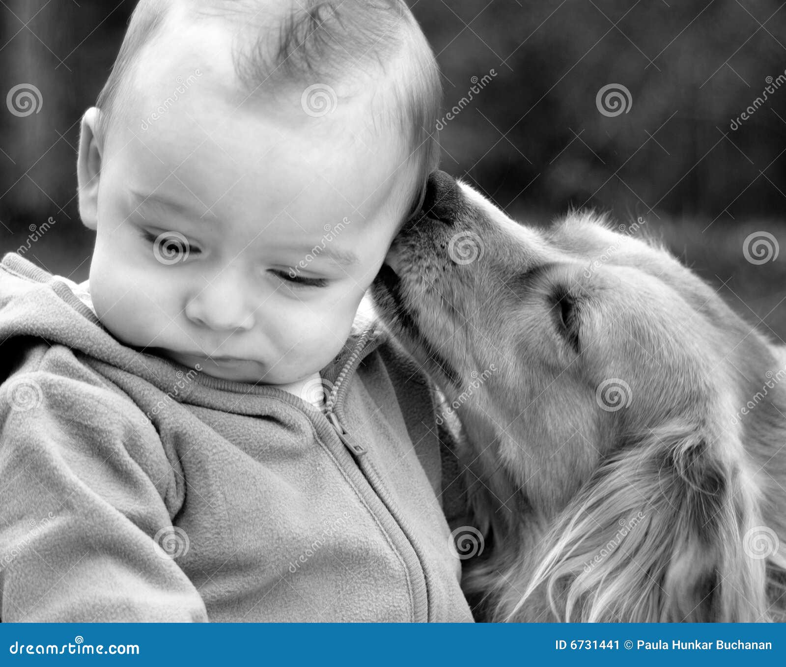 Puppy Whisperer stock image. Image of buddy, angel, life 6731441