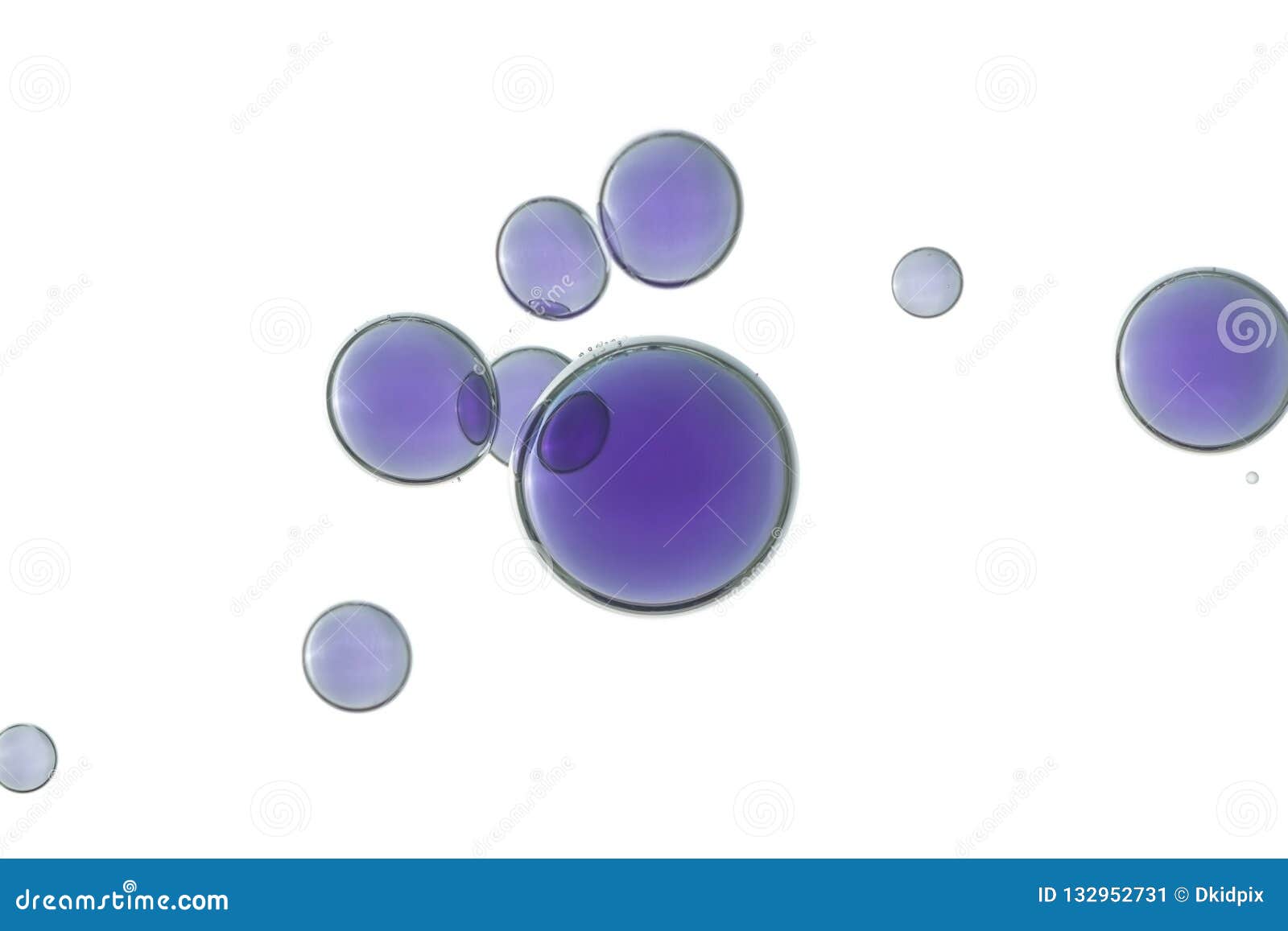 purple bubbles soars over a white background