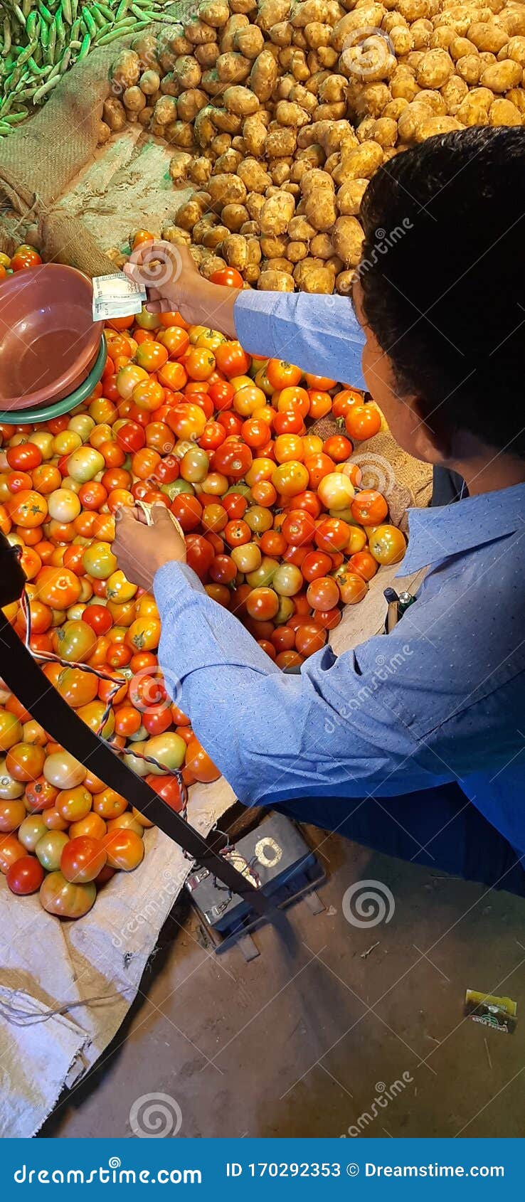 Purchasing Tomato in India High Rated Editorial Stock Photo Image of