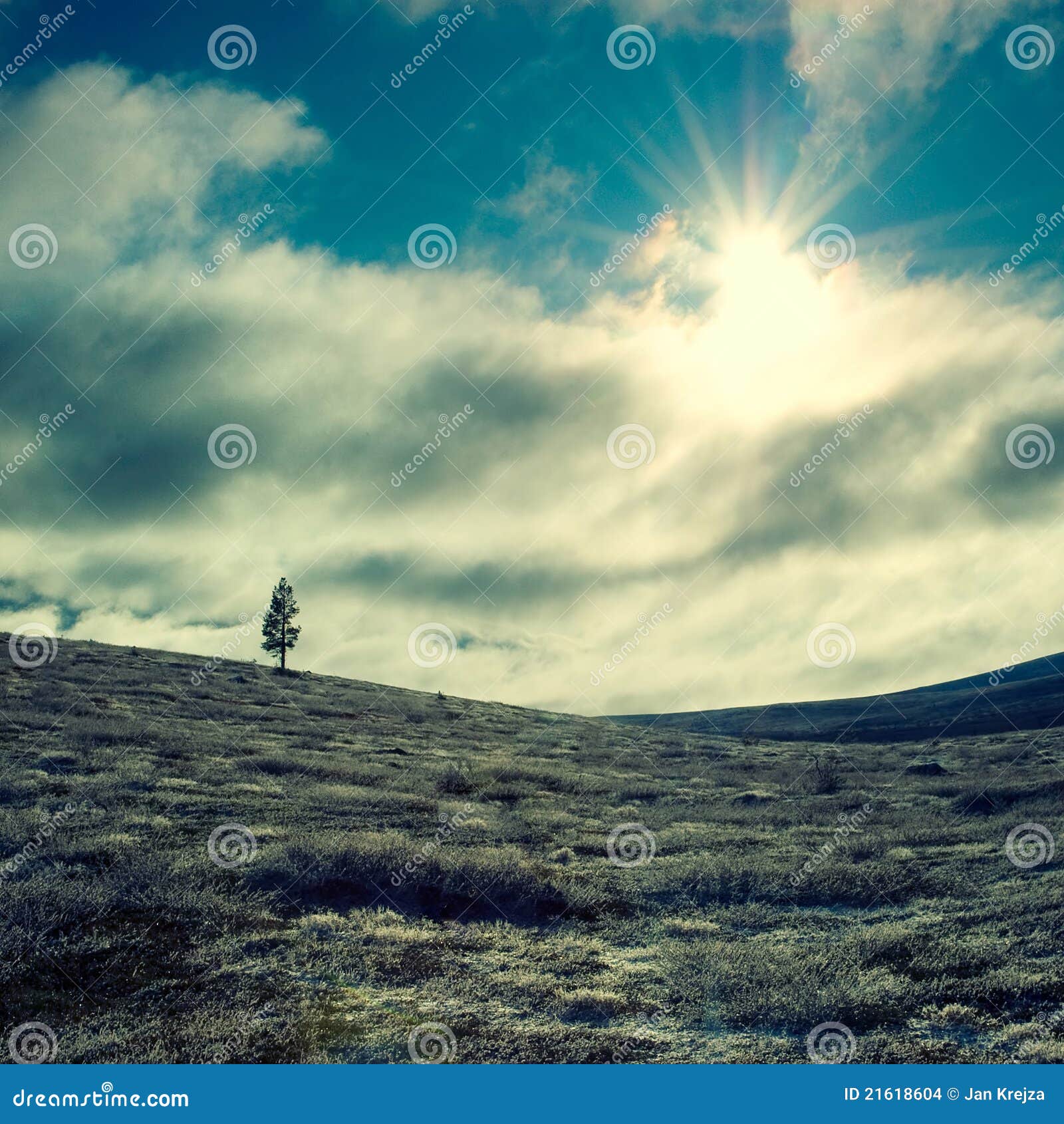 Pure nature stock photo. Image of harmony, purity, beauty 21618604