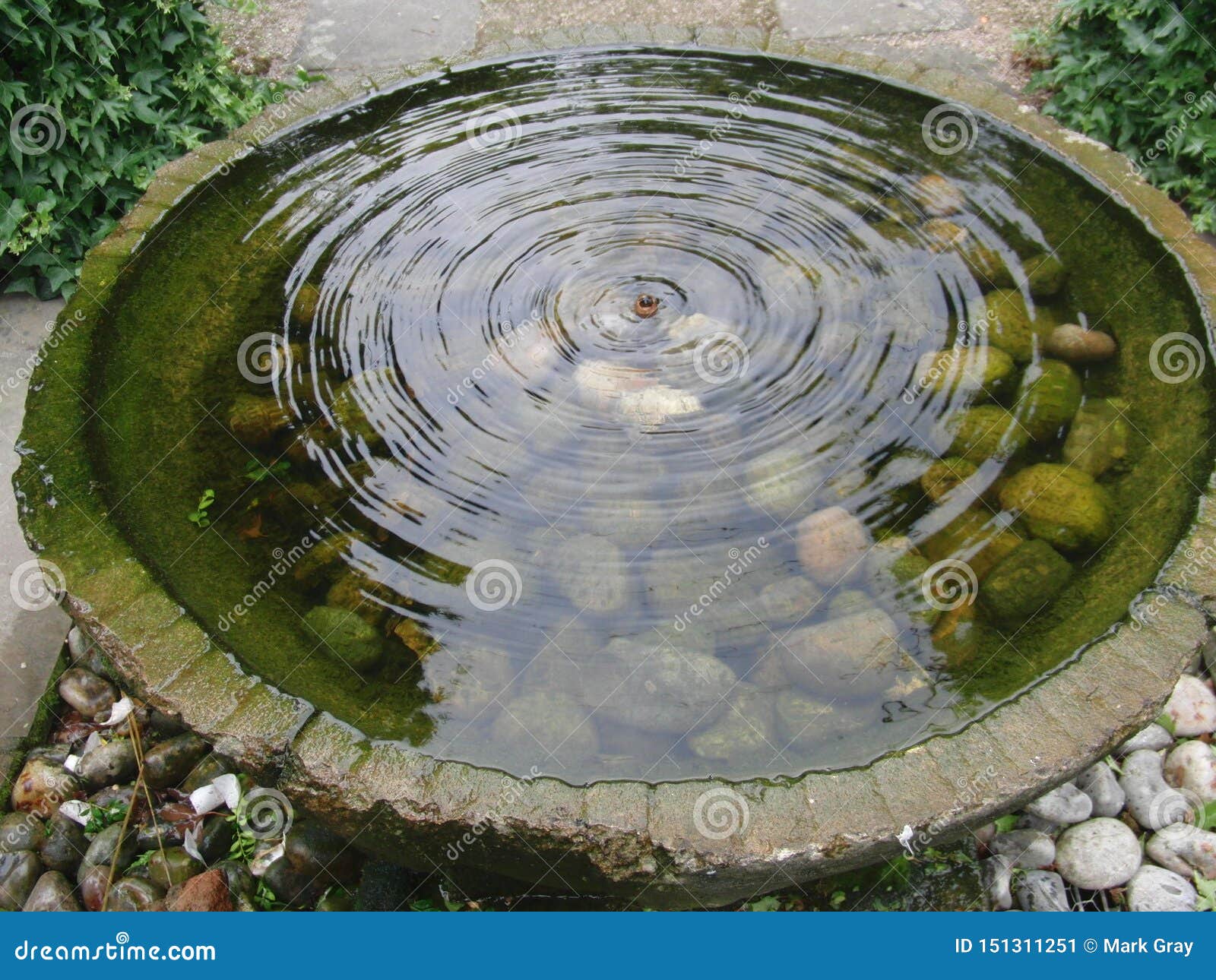 Pure Vibrations stock image. Image of water, waterfeature 151311251