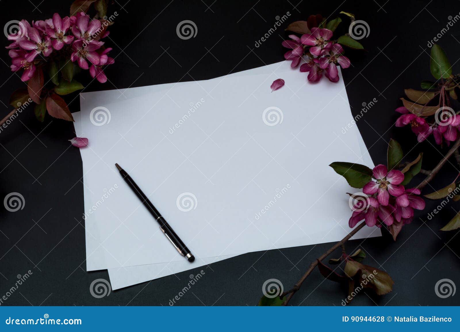 A White Paper Flower On A Plain Surface Background, High Resolution, Flower,  Luck Background Image And Wallpaper for Free Download