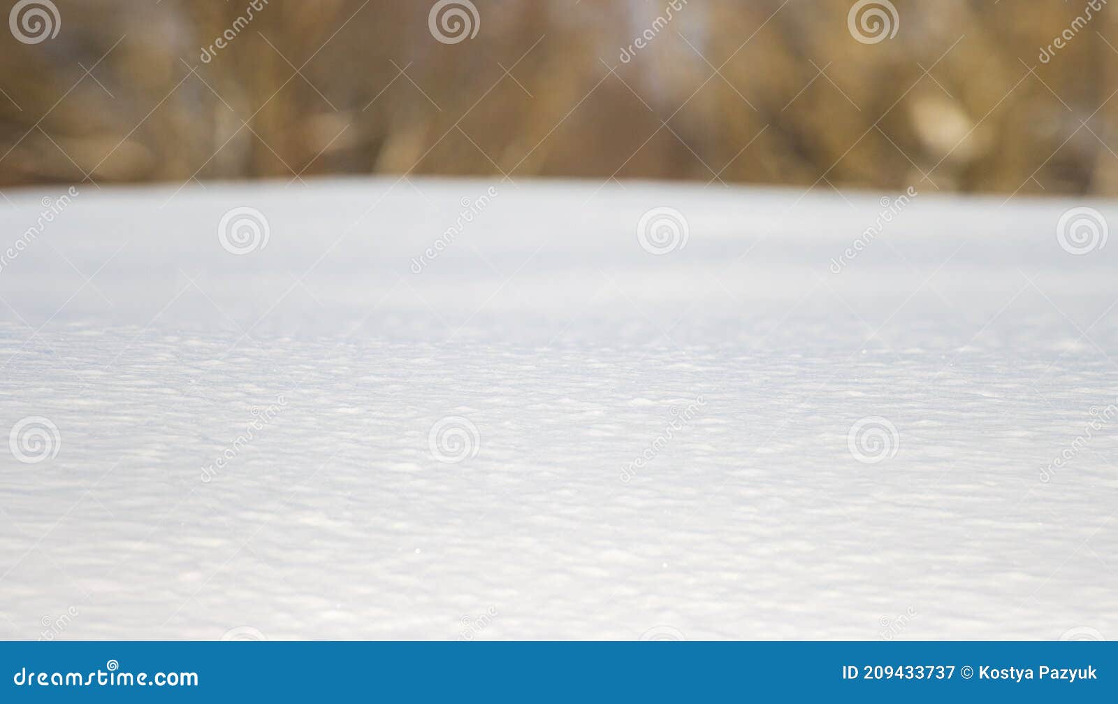 Pure White Snow Covered the Ground Stock Image - Image of ground