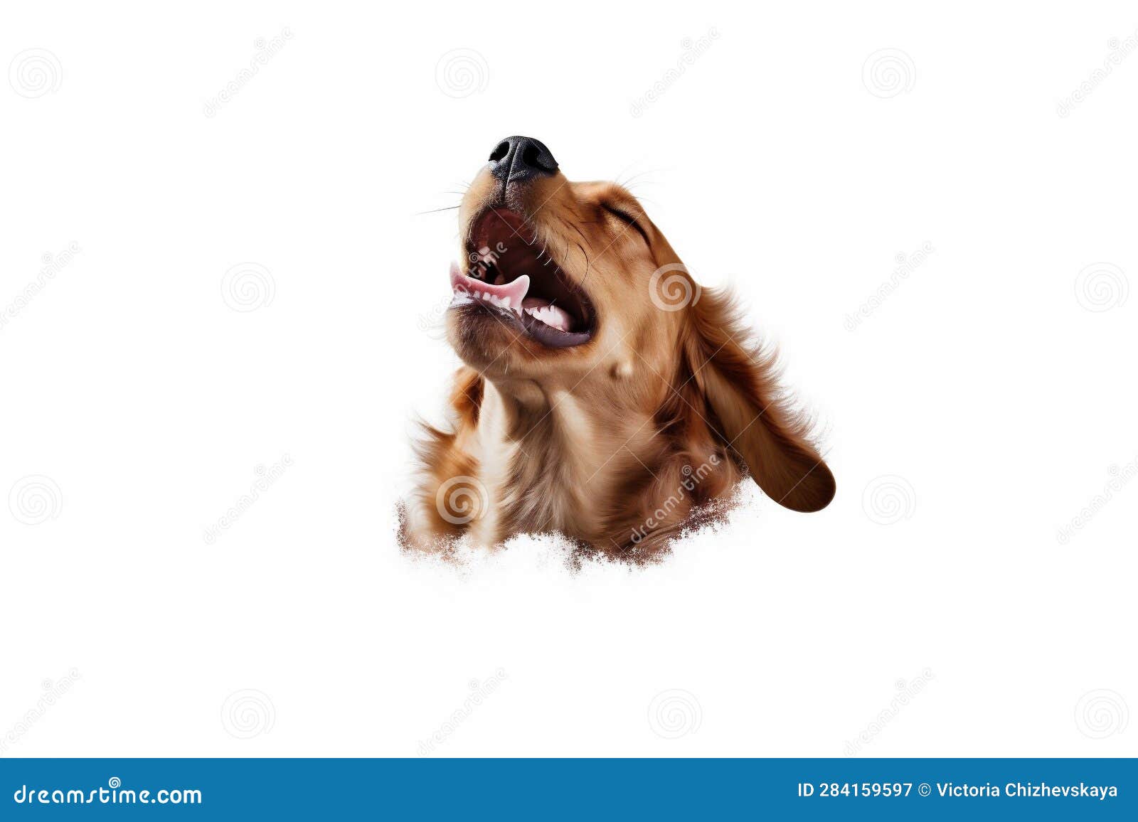 dog fly purebred white doggy pet background cute up jump animal. generative ai.