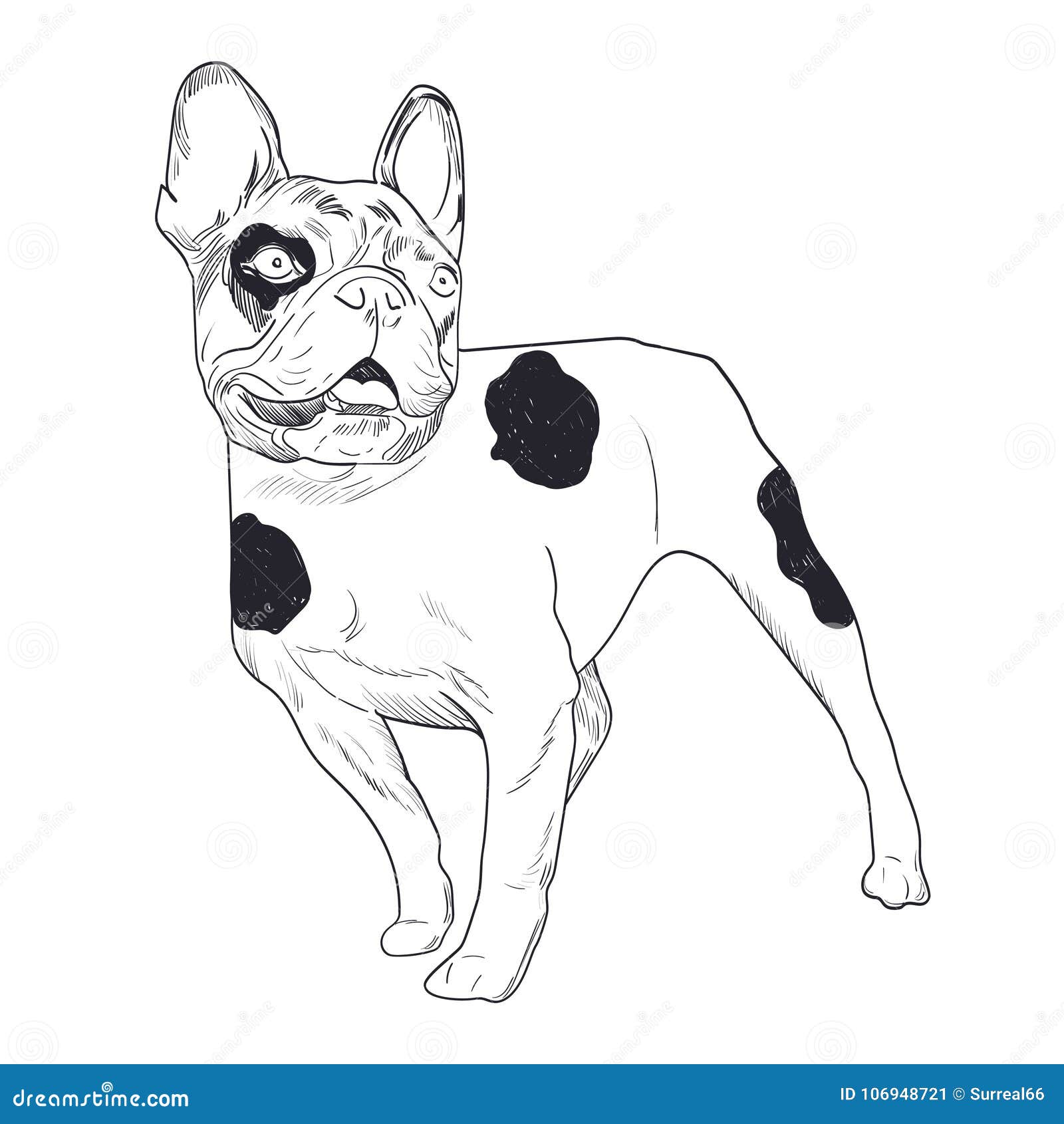 French Bulldog Hand Drawn Sketch Isolated on White Background. Stock ...