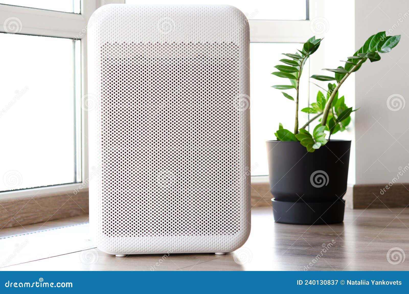 Purificateur D'air Dans Une Maison Confortable Pour Filtre Image stock -  Image du filtre, santé: 240130837