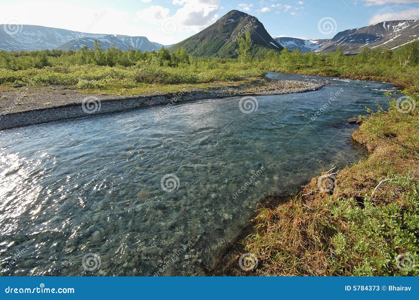 purity of river water