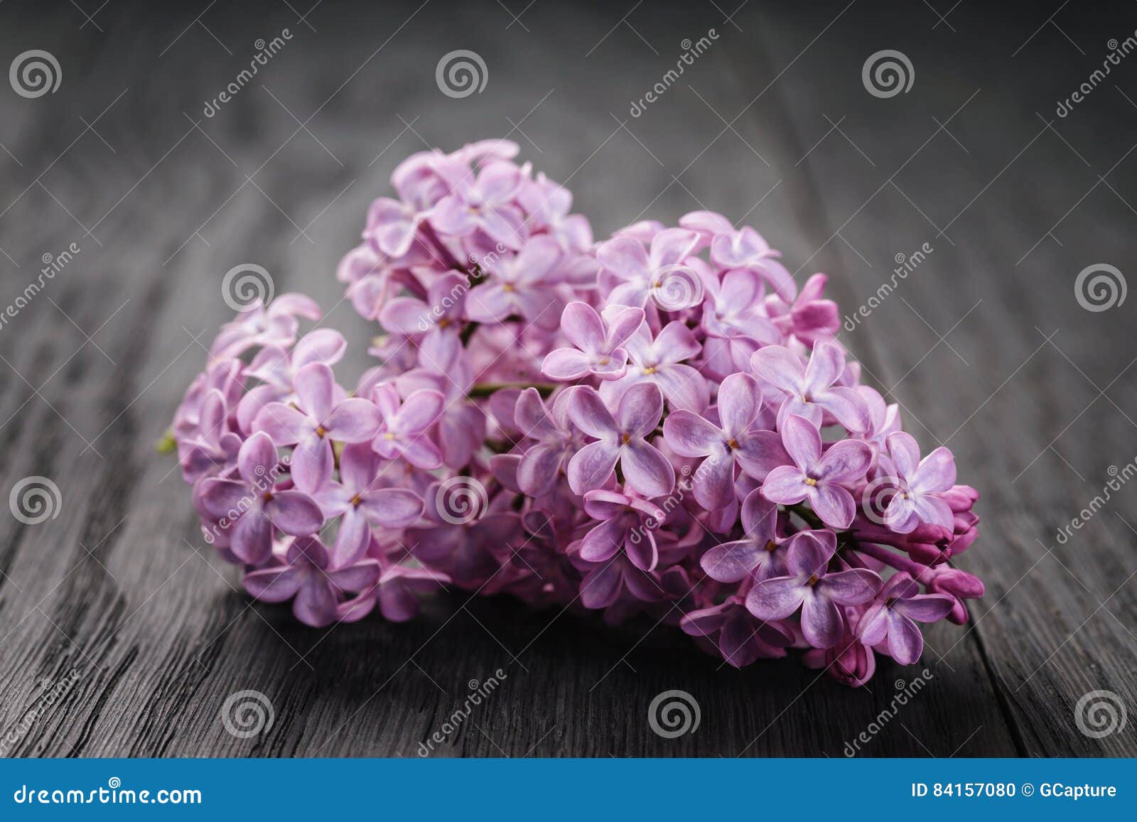 Purpere lilac bloemen op oude houten lijst, eenvoudige de lentefoto