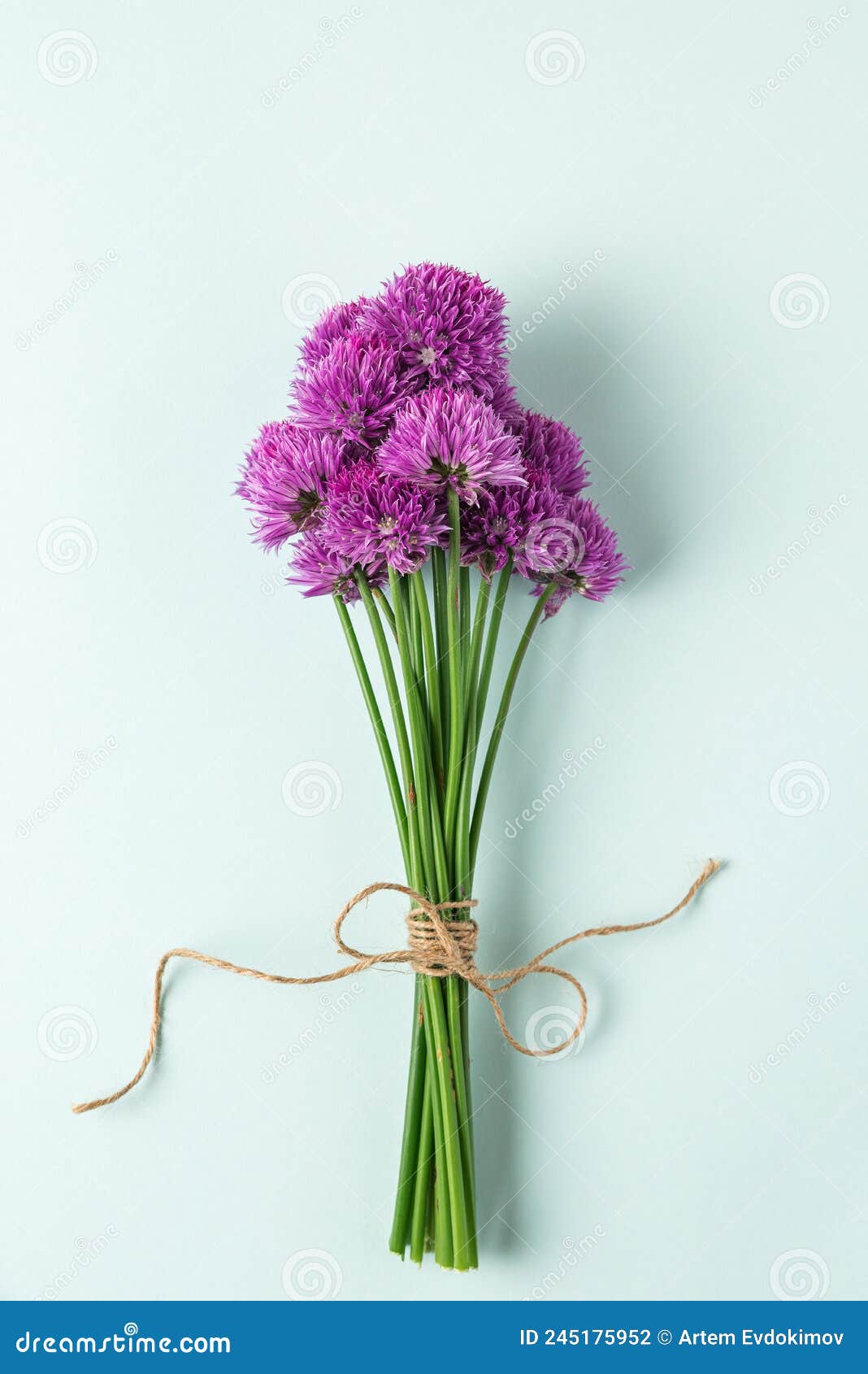 Purple Allium Flowers Bouquet on Blue Background. Flat Lay. Top View Stock  Photo - Image of spring, blue: 245175952