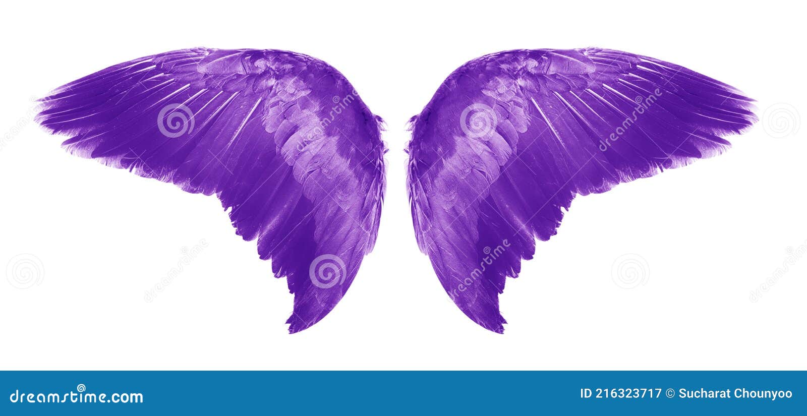 Purple Angel Wings an Isolated on White Background Stock Illustration