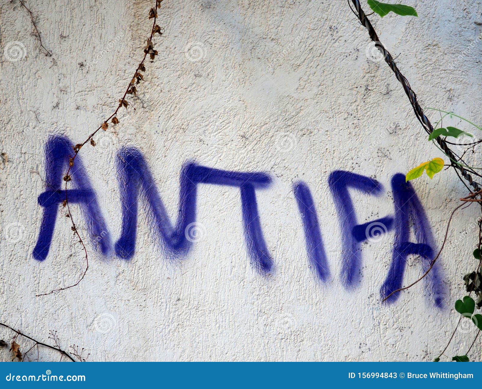 purple antifa graffiti on old white wall