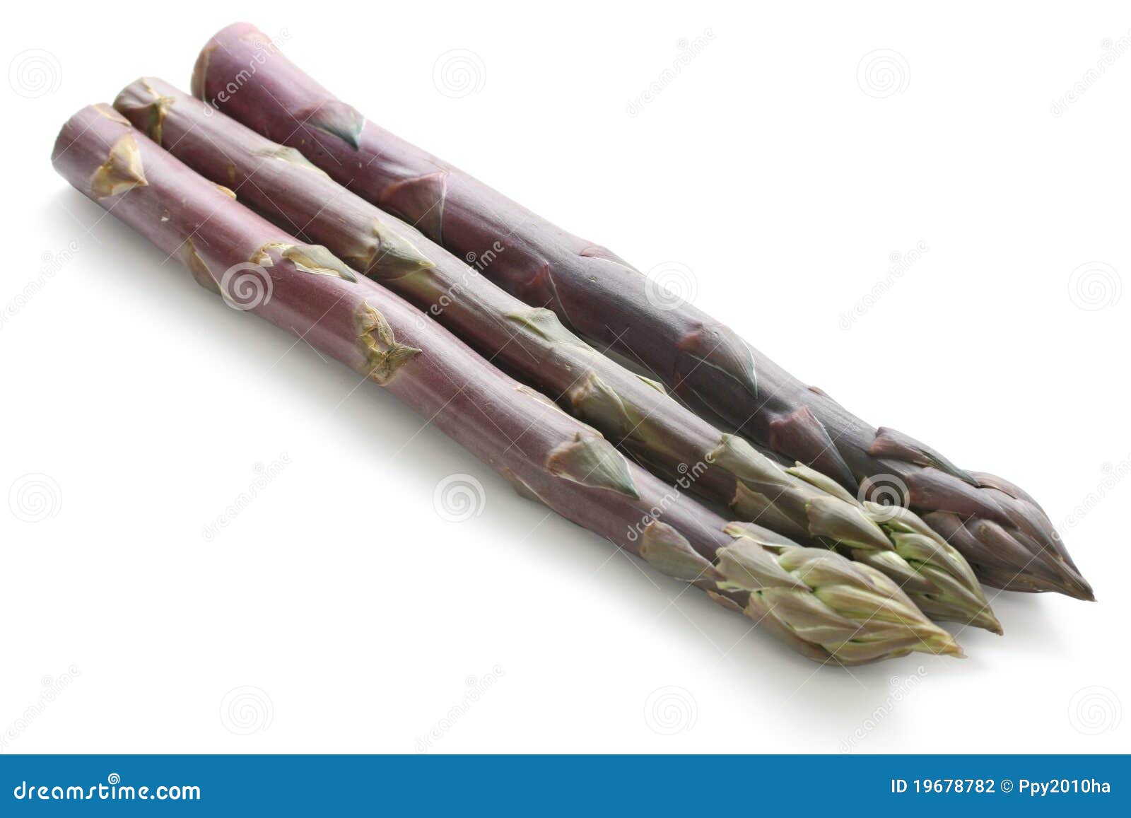 Purple asparagus stock photo. Image of white, vegetable 19678782
