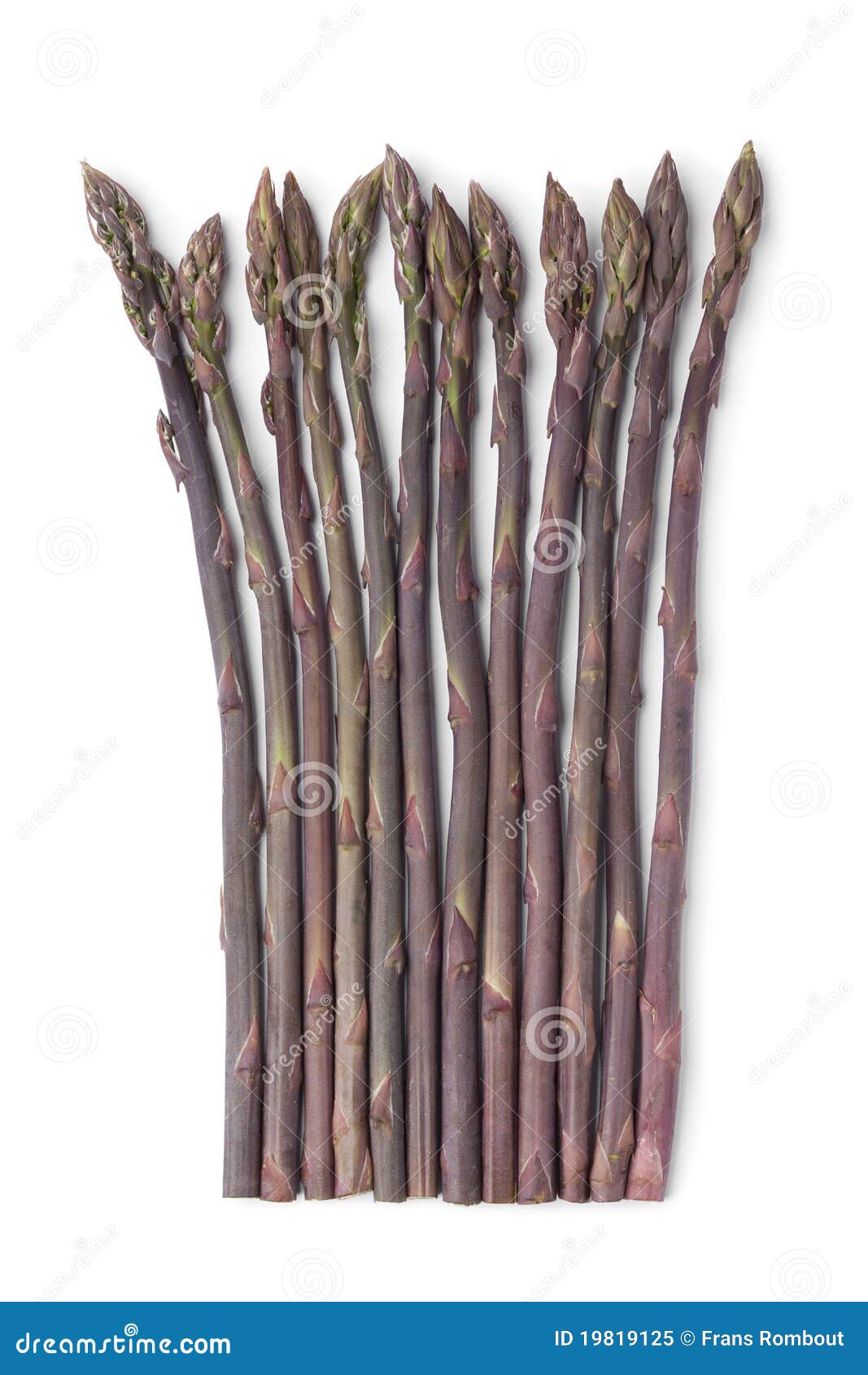 Purple asparagus stock image. Image of studio, vertical 19819125
