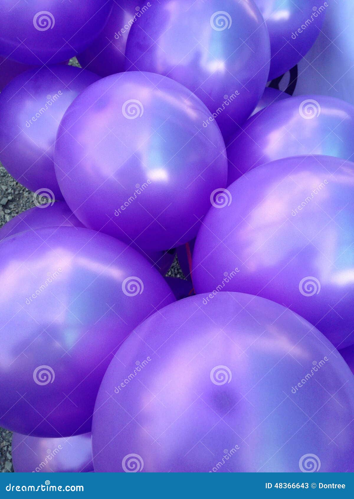 Purple balloons stock image. Image of helium, color, party - 48366643