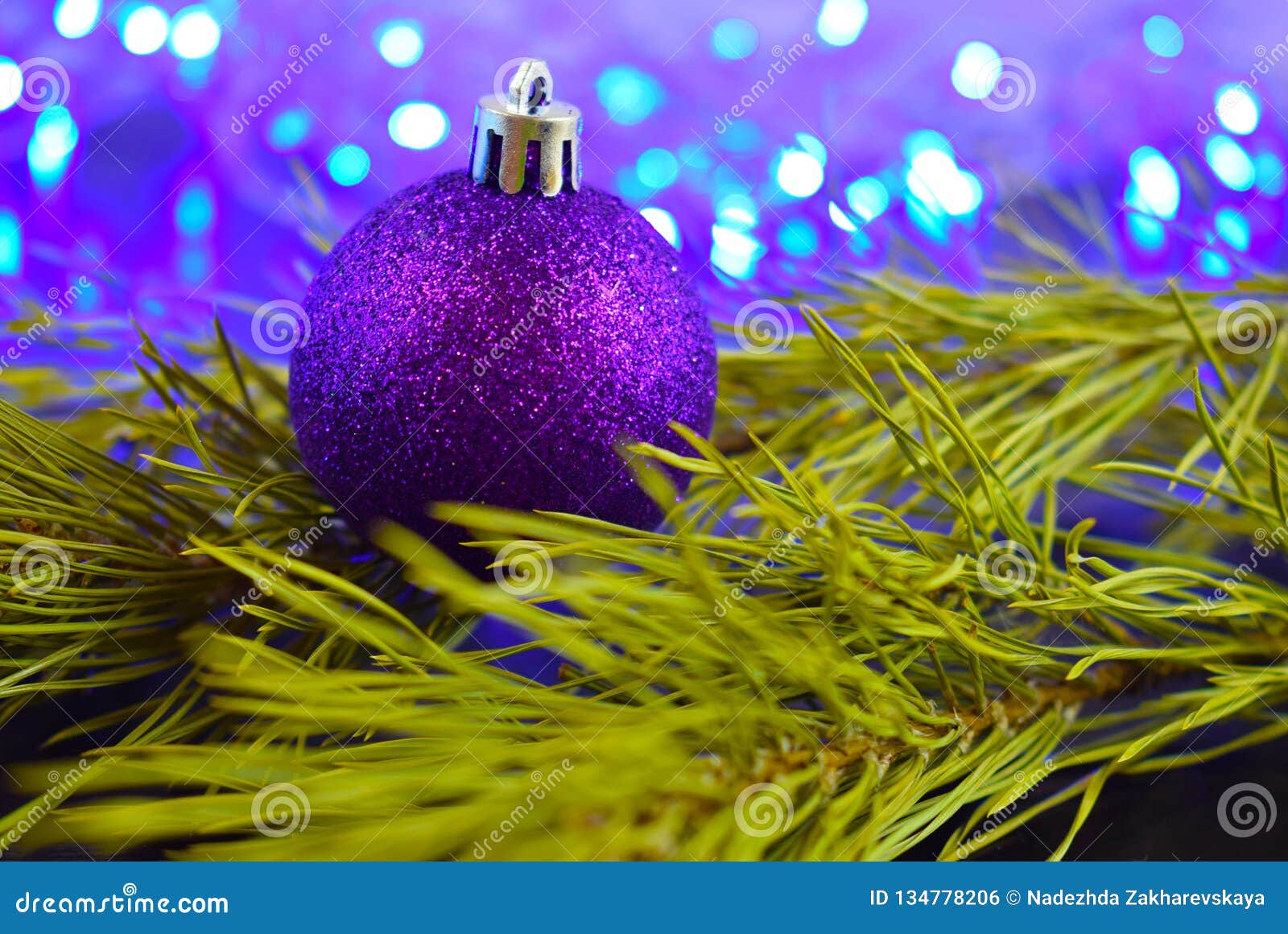 Purple balls on the tree. stock photo. Image of ornament 134778206