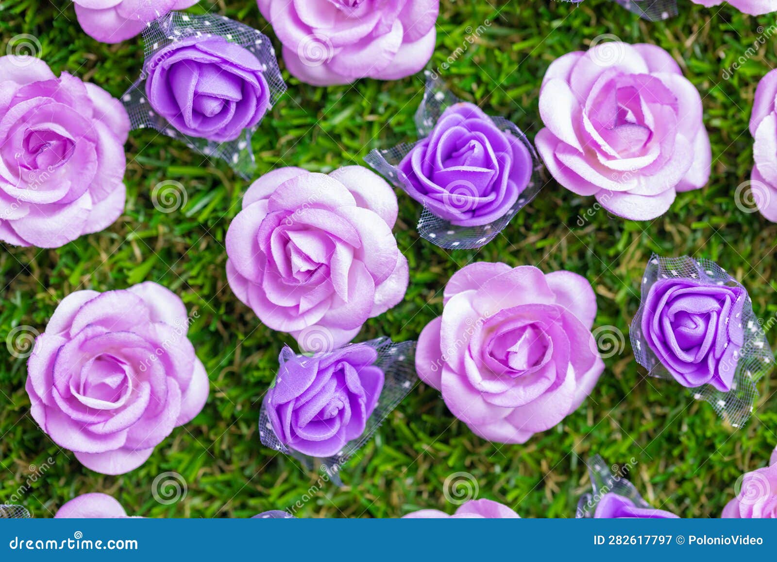 Purple Bed Flowers Background Flat Layer Stock Image Image of flower