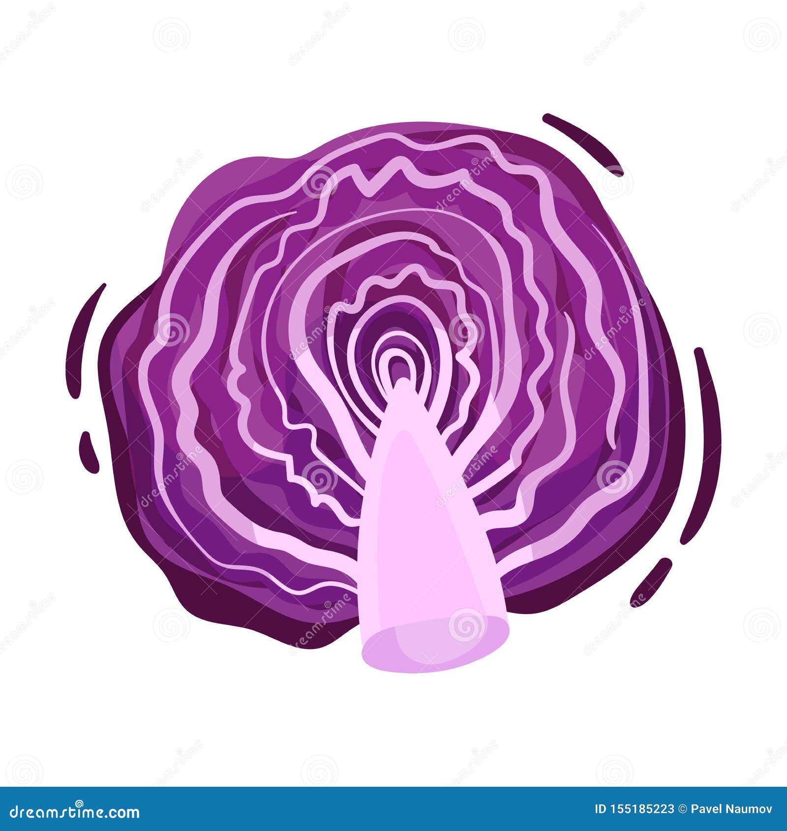 Purple Cabbage Cabbage. Vector Illustration on White Background Stock