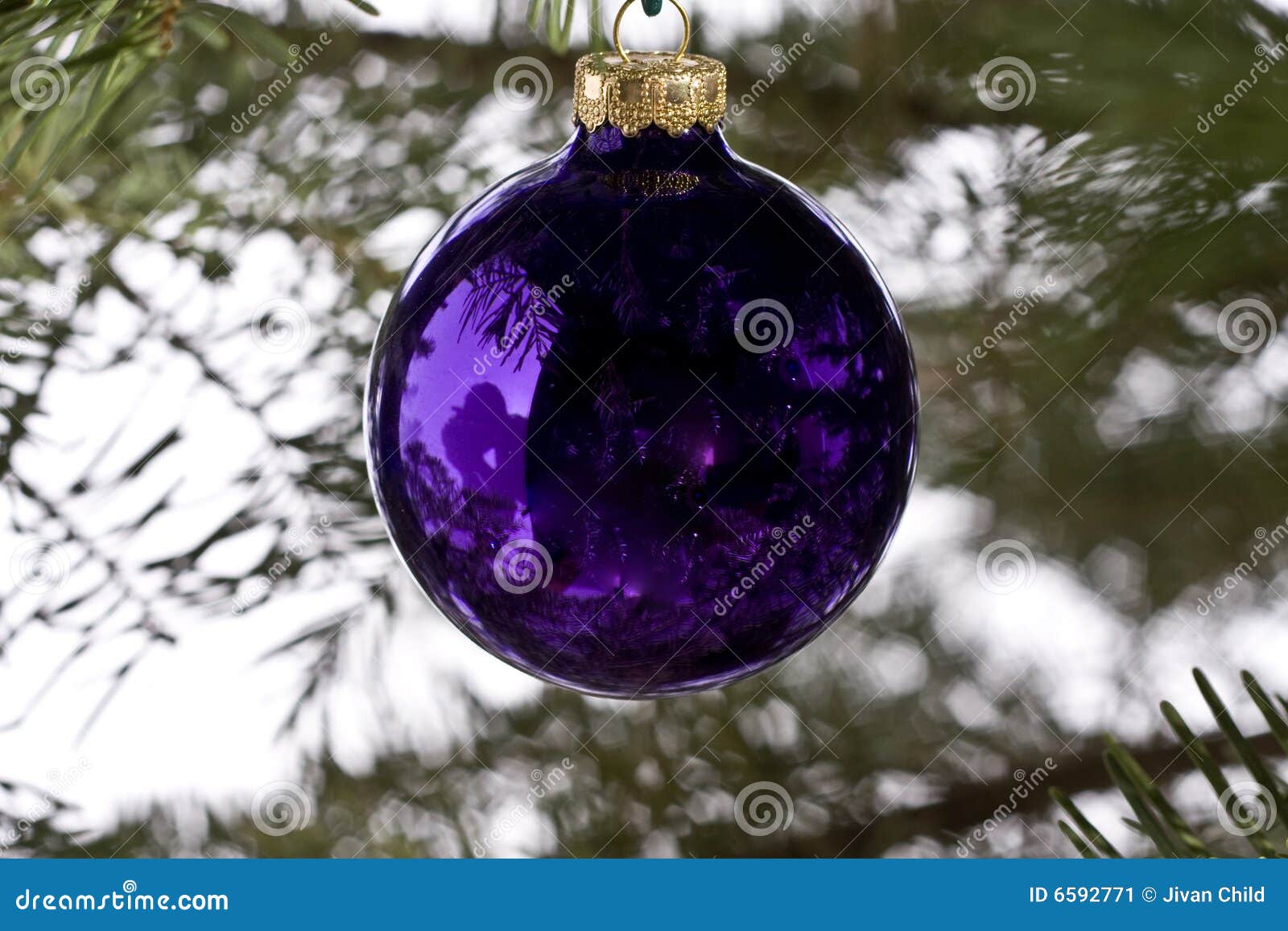 Purple christmas bauble stock image. Image of pine, hung 6592771