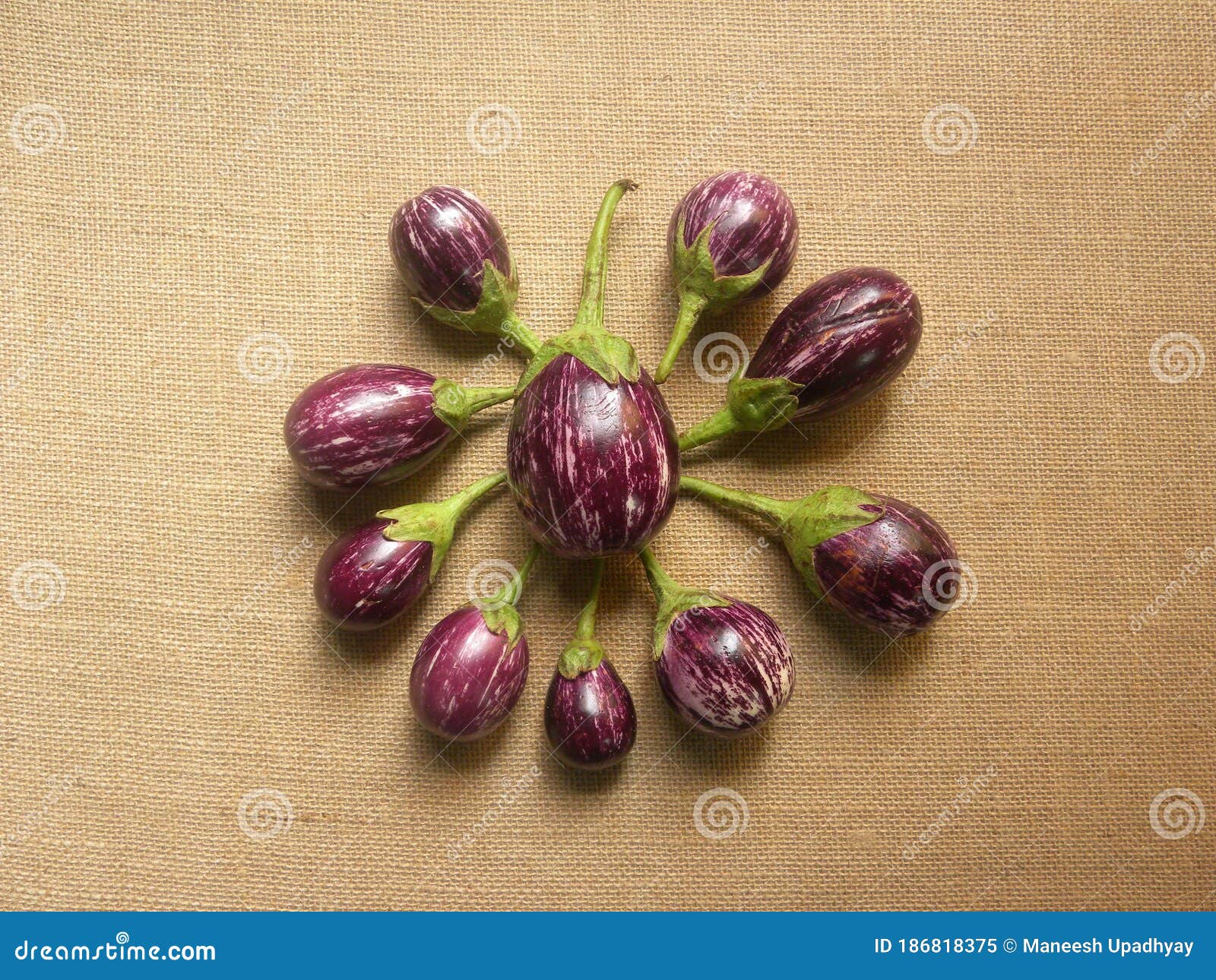 Graffiti eggplants stock image. Image of healthy, nutrition 186818375